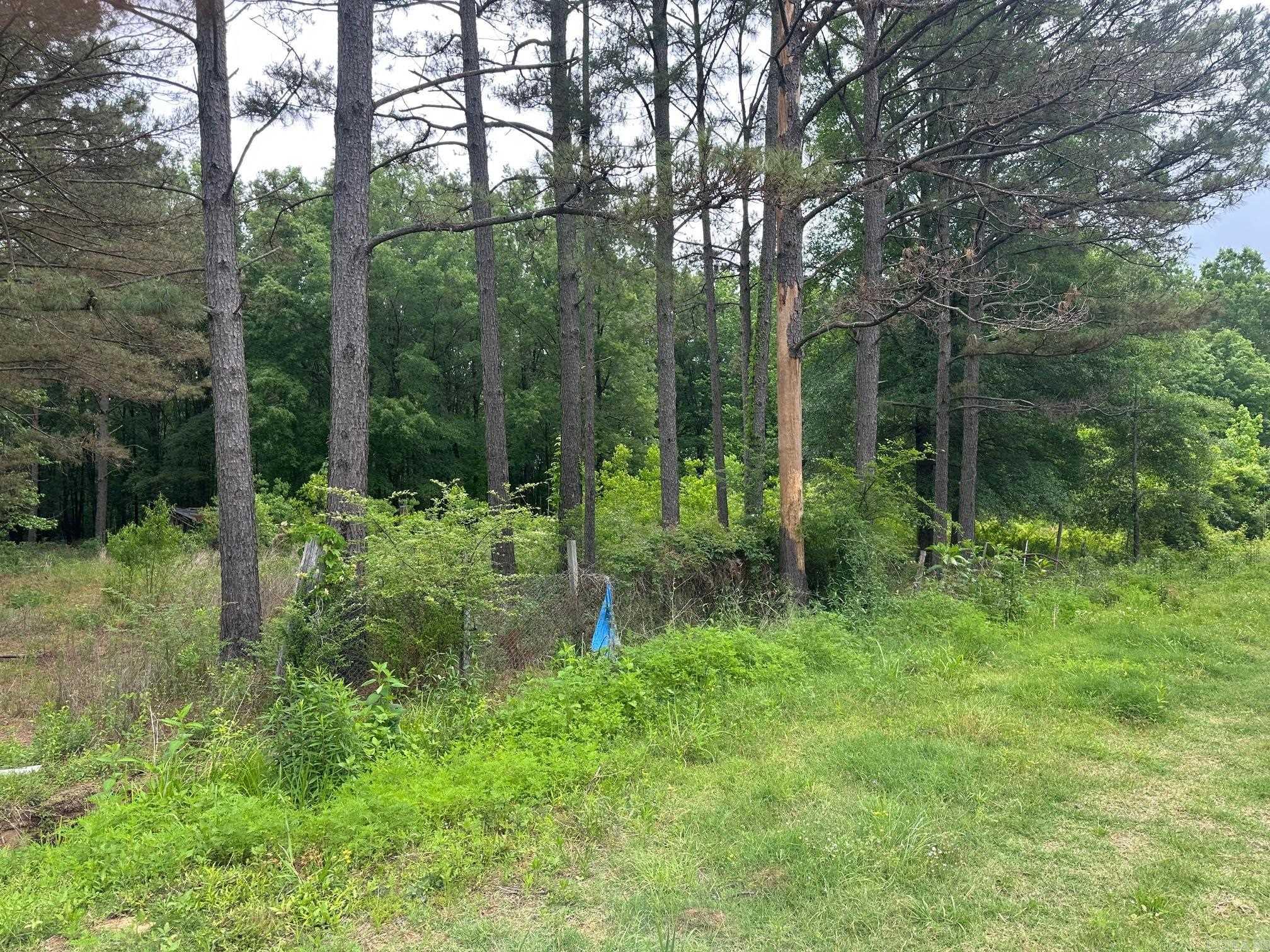   ashley rd 482  Fountain Hill, AR