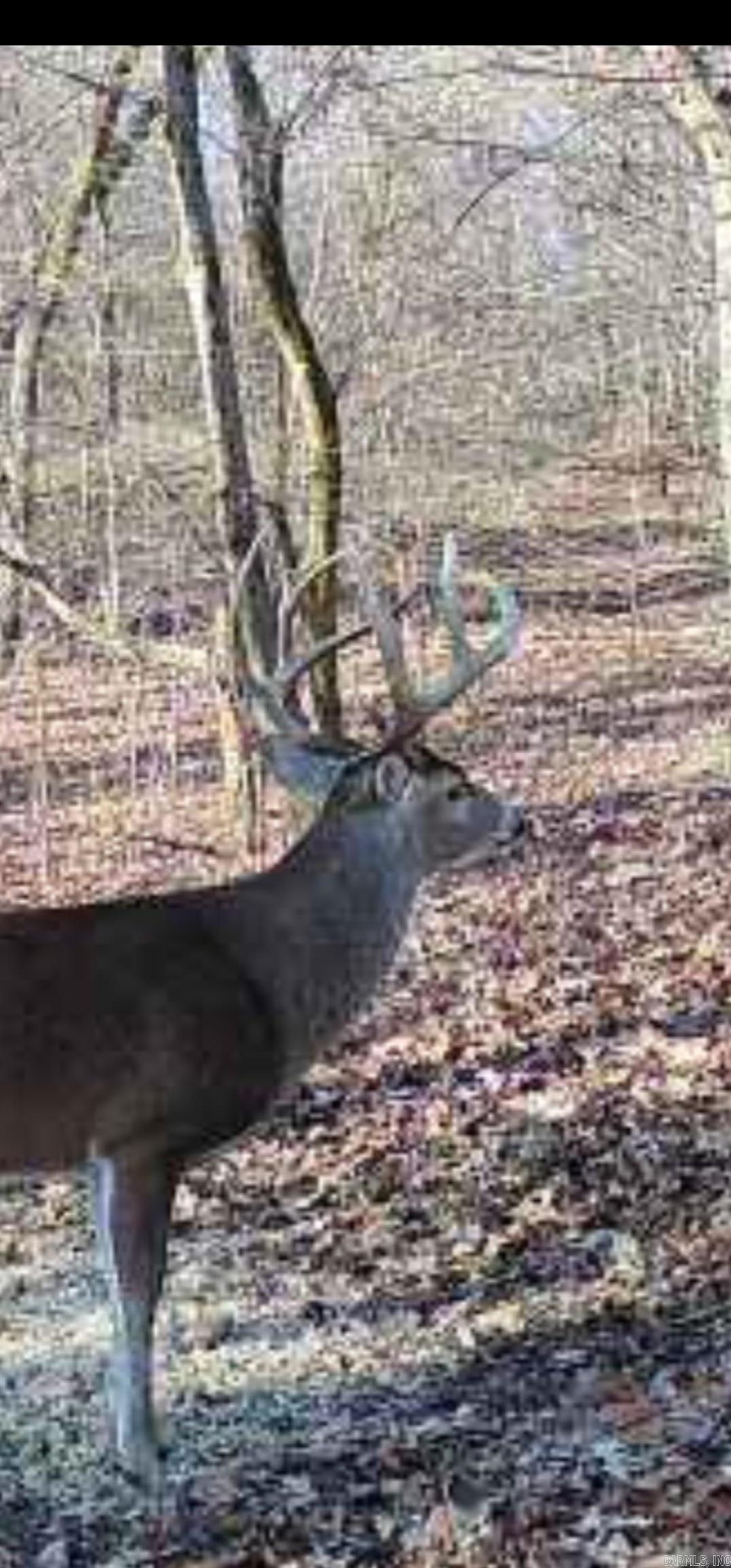 TBD  LEE 229  La Grange, AR