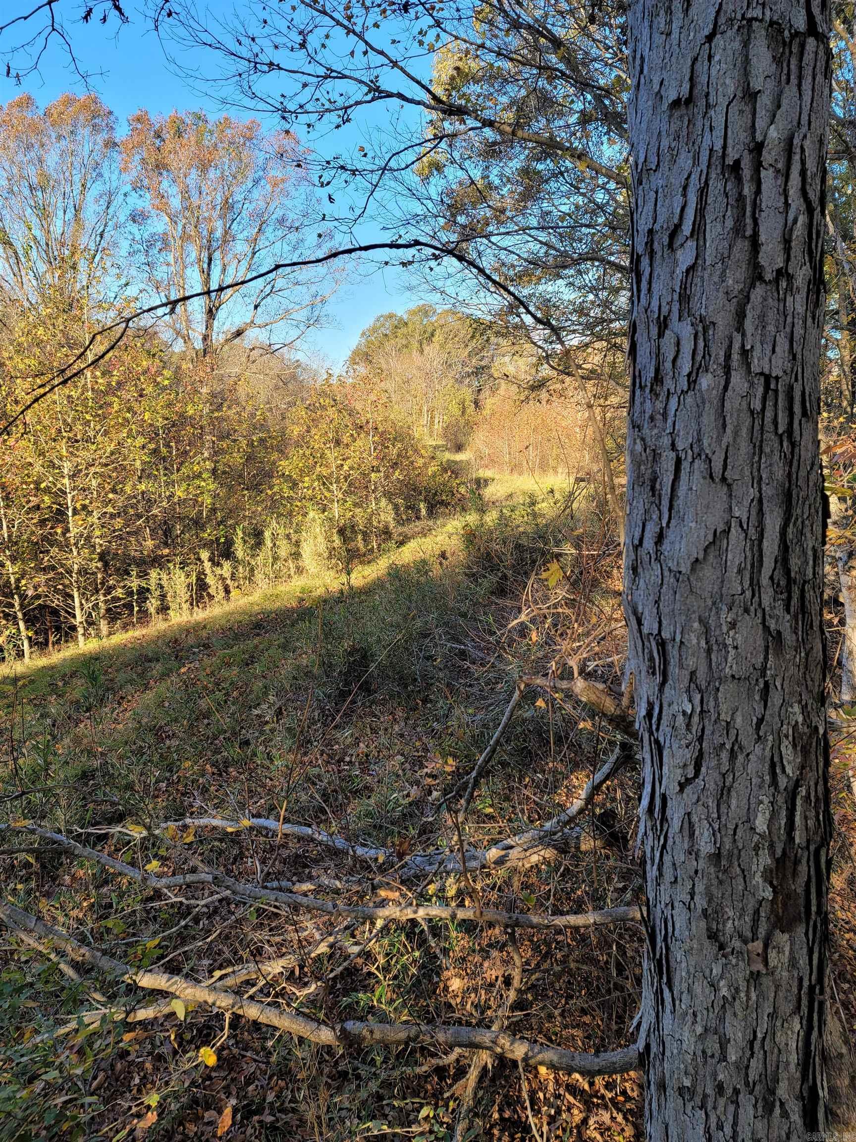 TBD  LEE 229  La Grange, AR