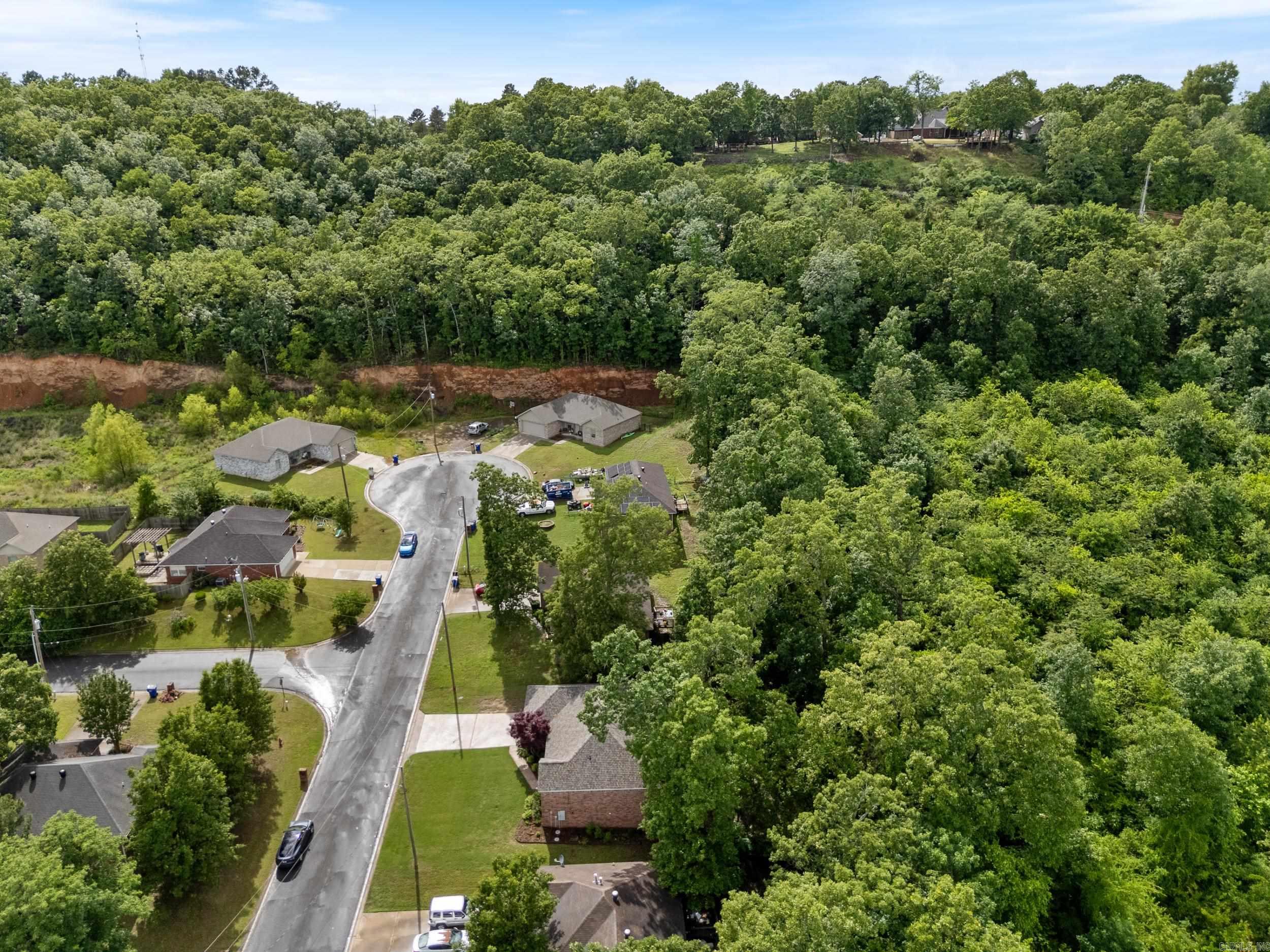 52  Louise  Greenbrier, AR