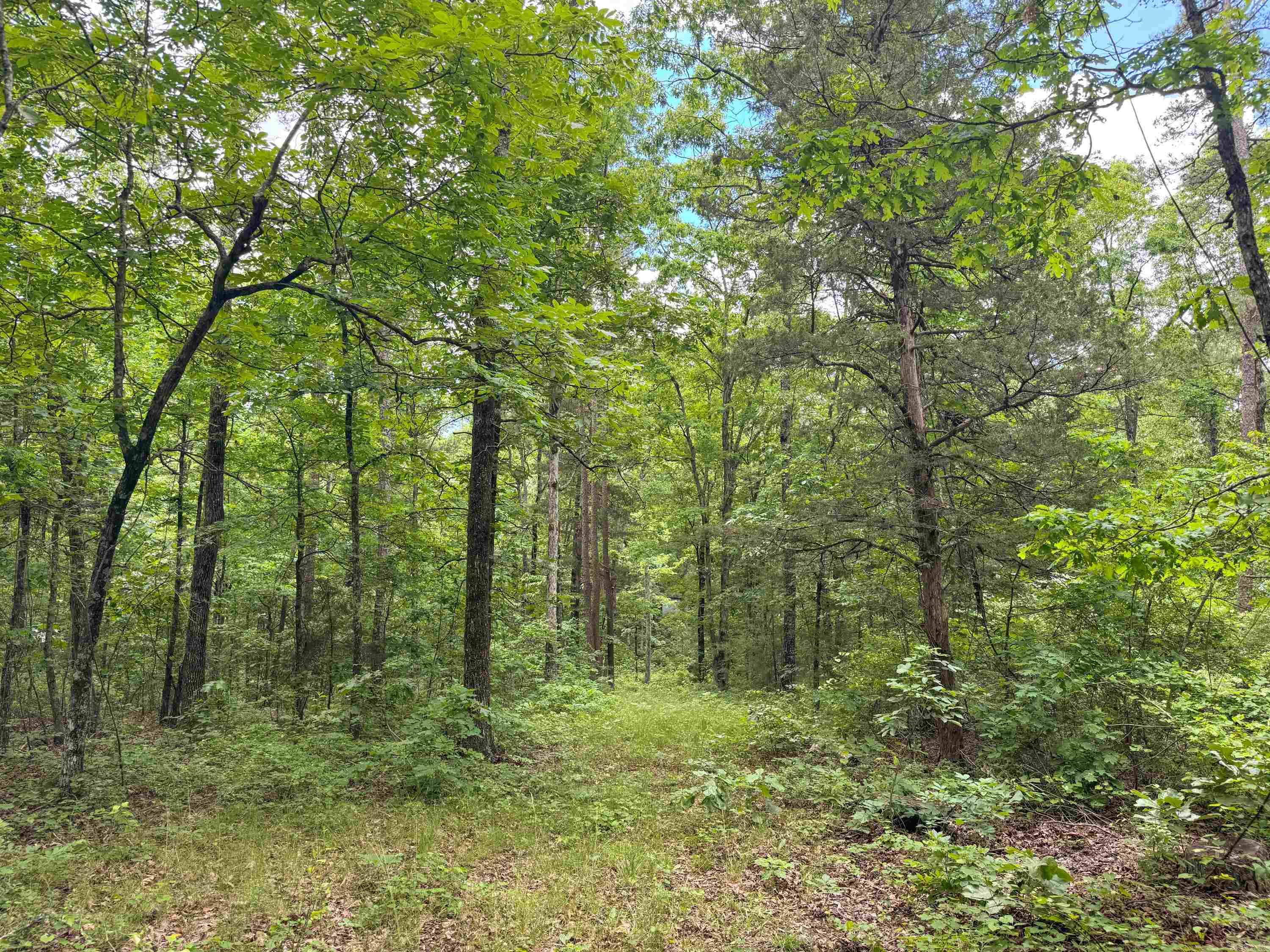 3200  Edgemont  Quitman, AR