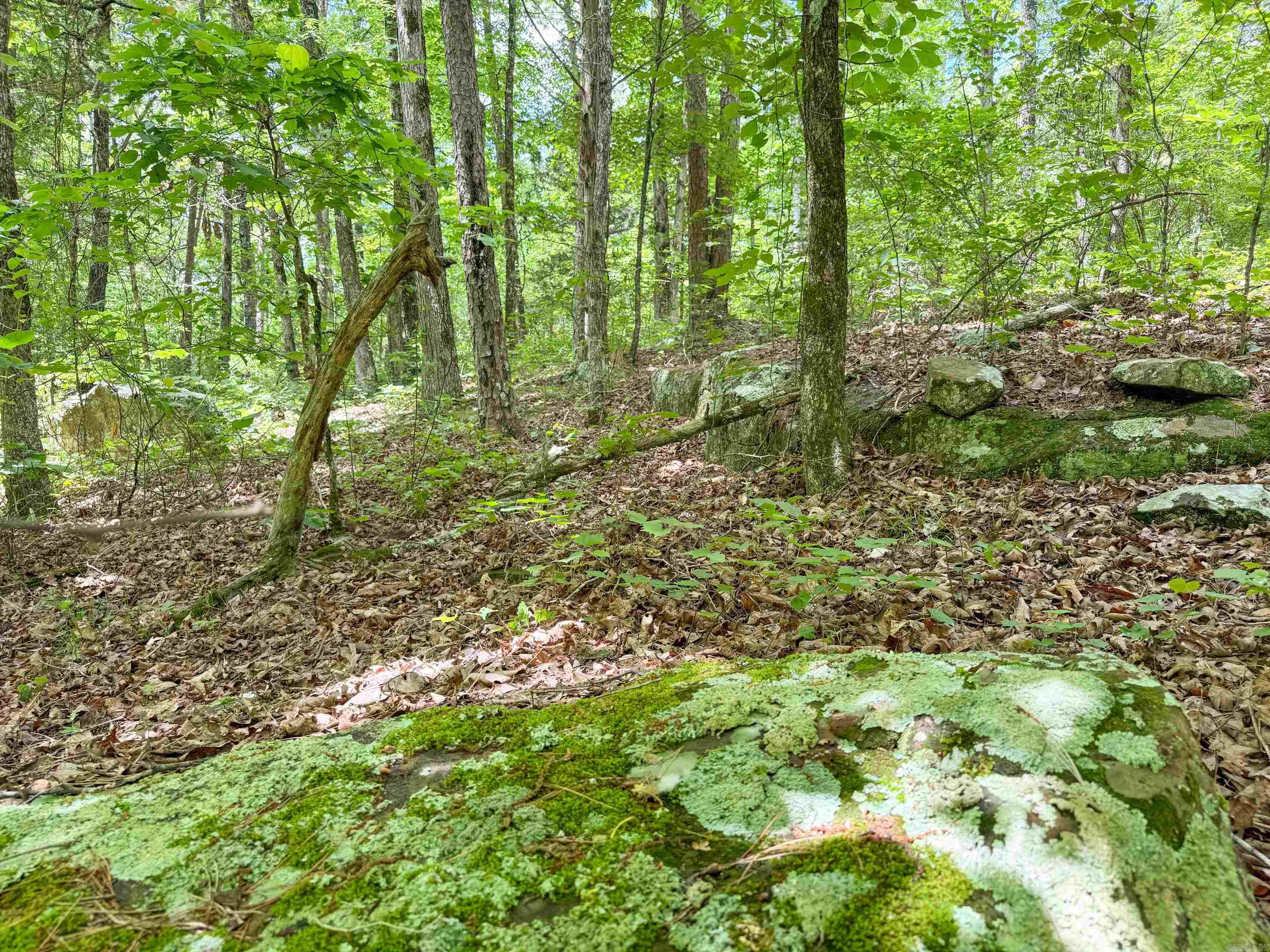 3200  Edgemont  Quitman, AR