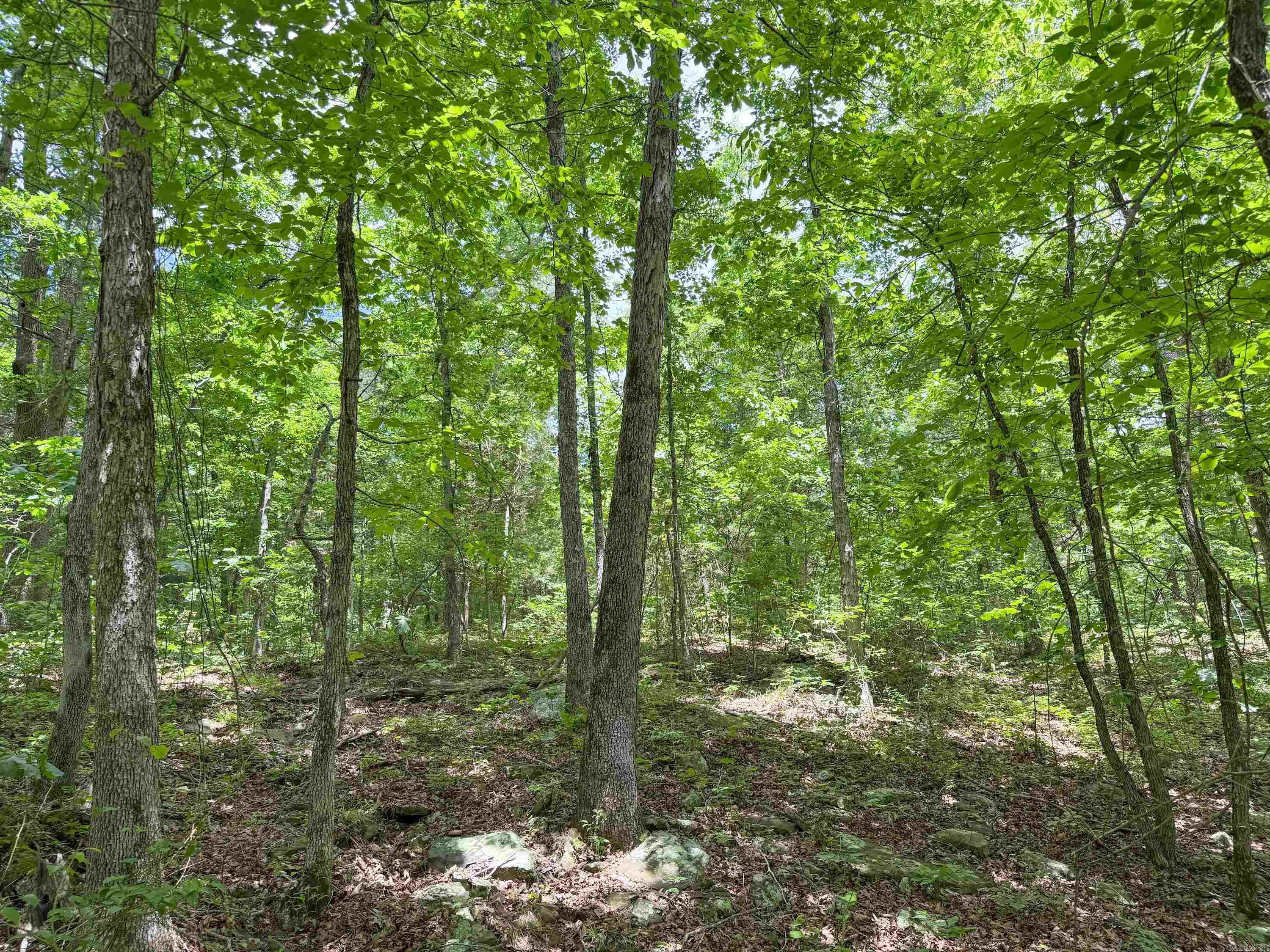 3200  Edgemont  Quitman, AR