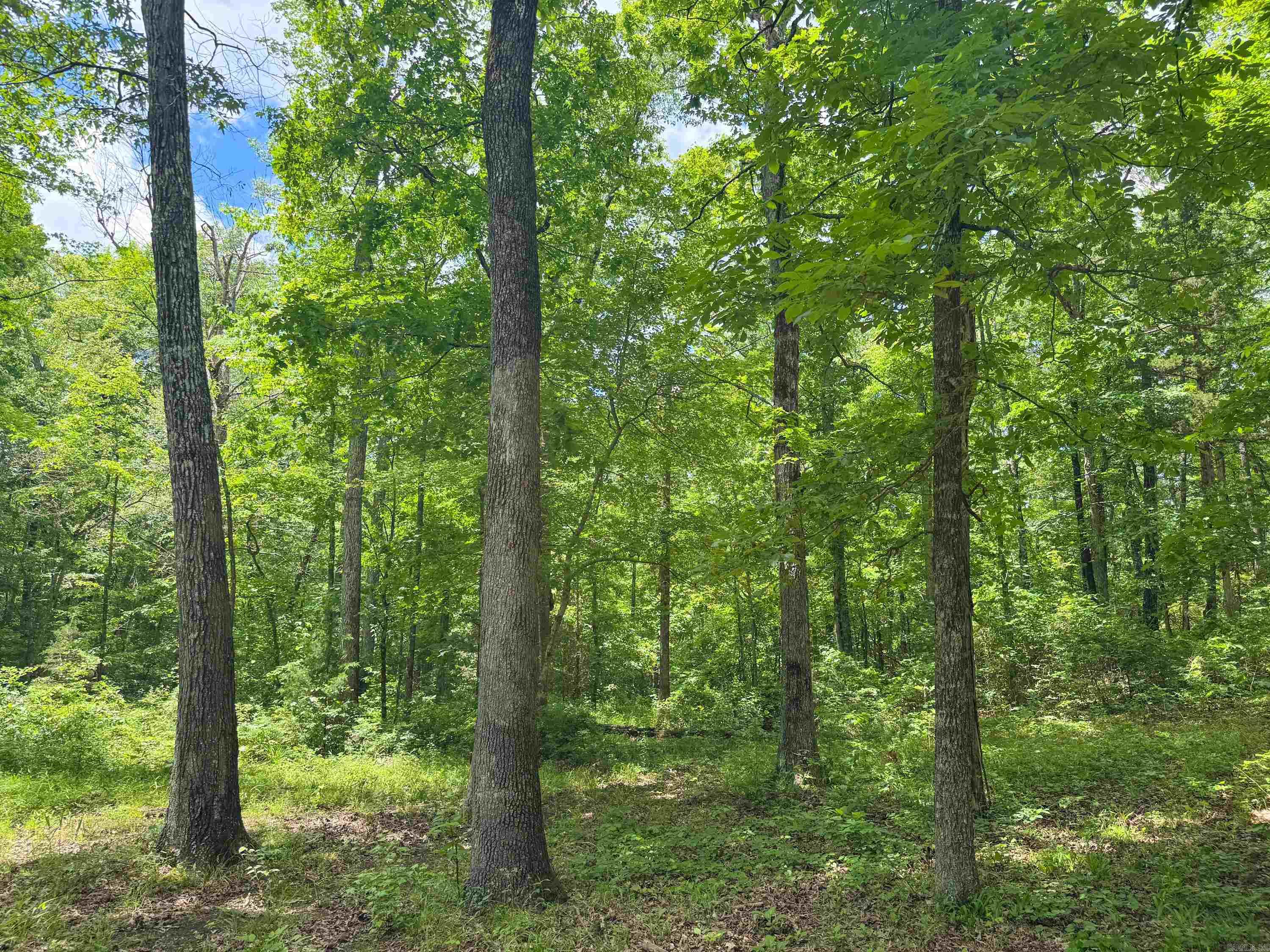 3200  Edgemont  Quitman, AR