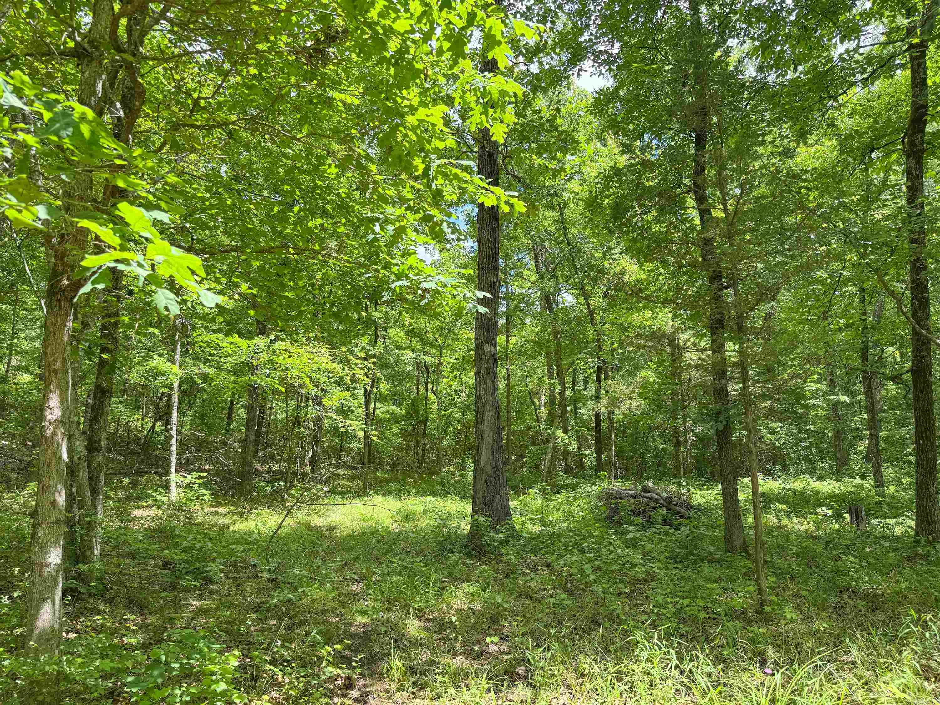 3200  Edgemont  Quitman, AR