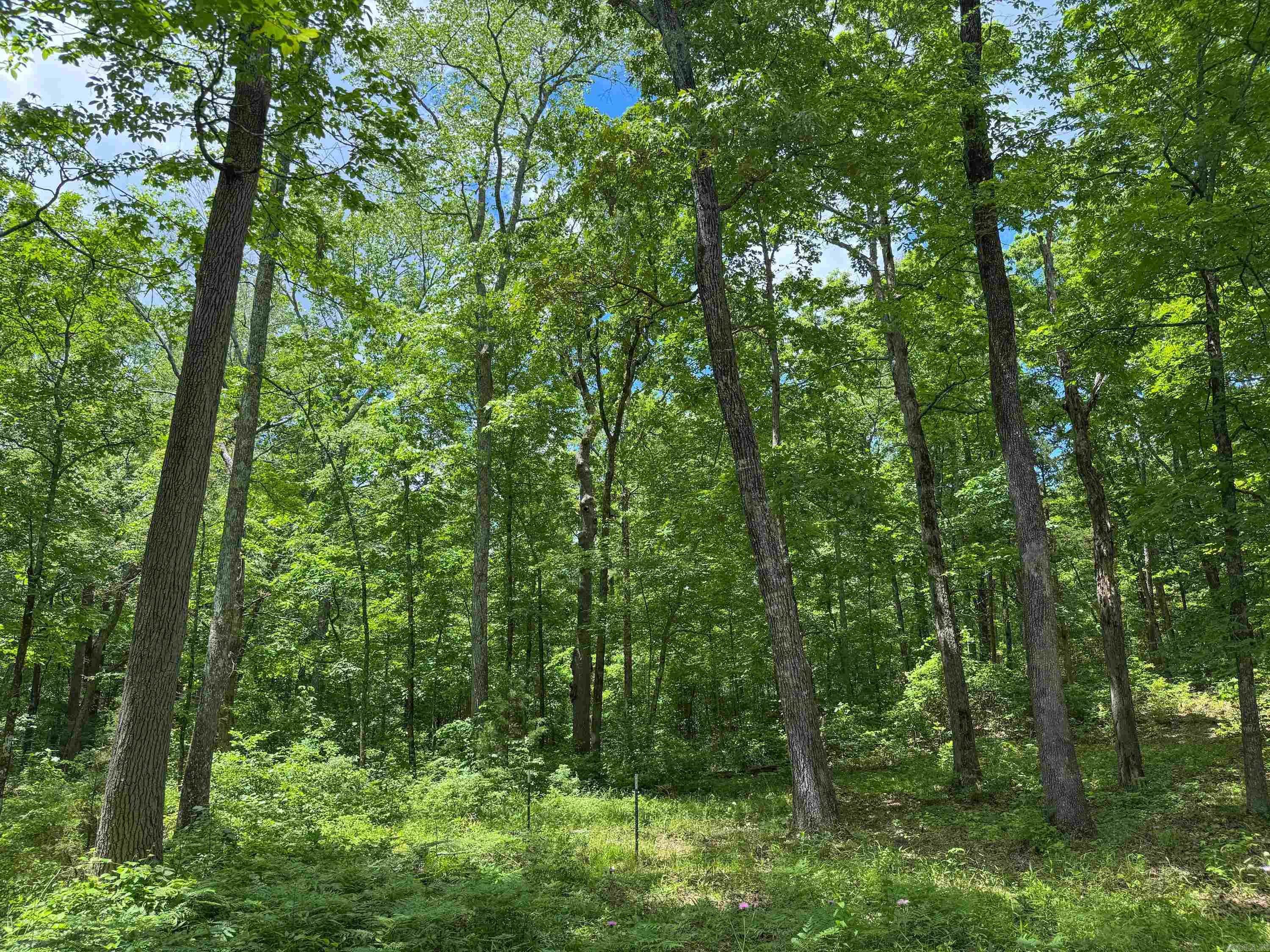 3200  Edgemont  Quitman, AR