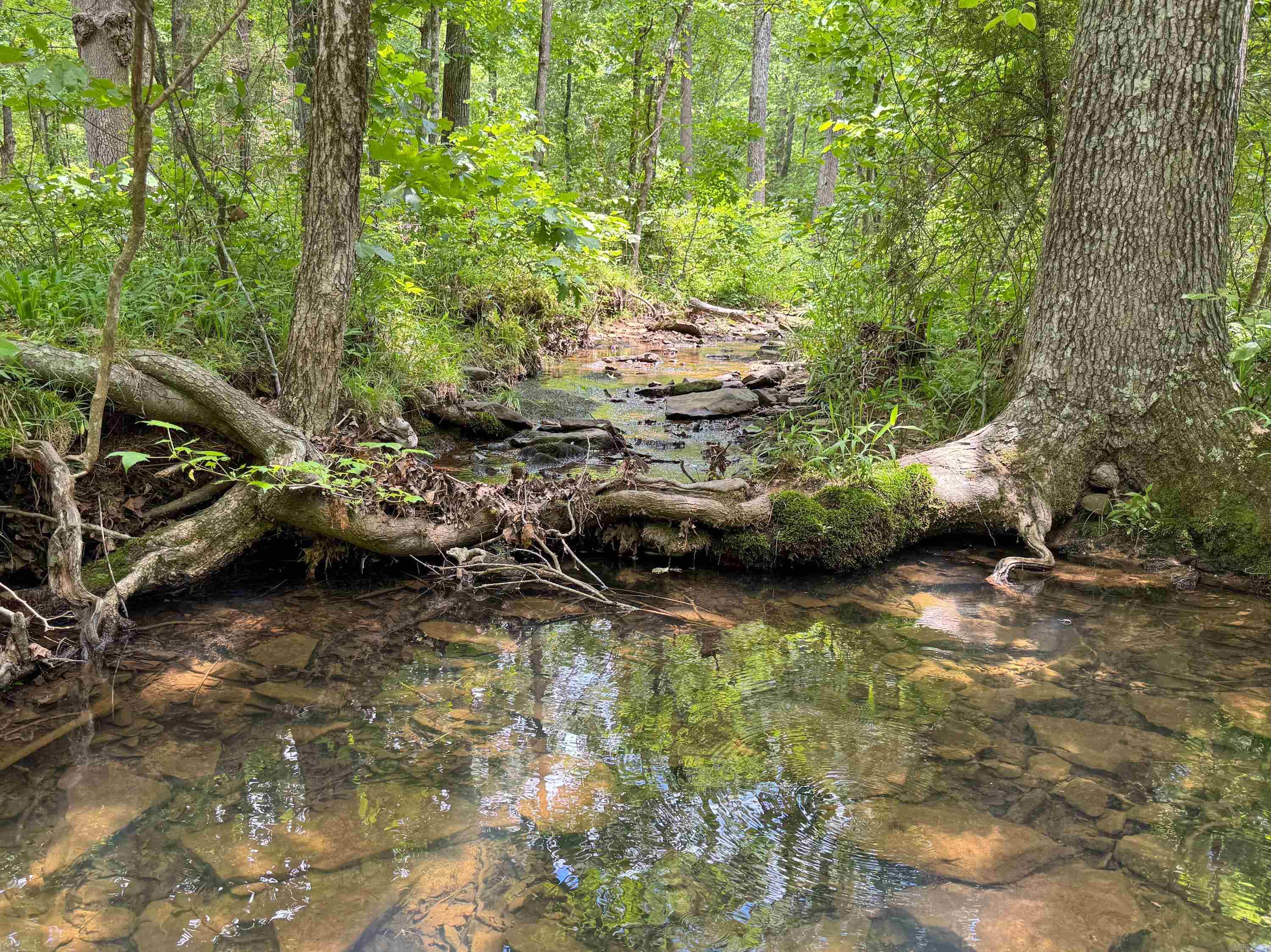3200  Edgemont  Quitman, AR
