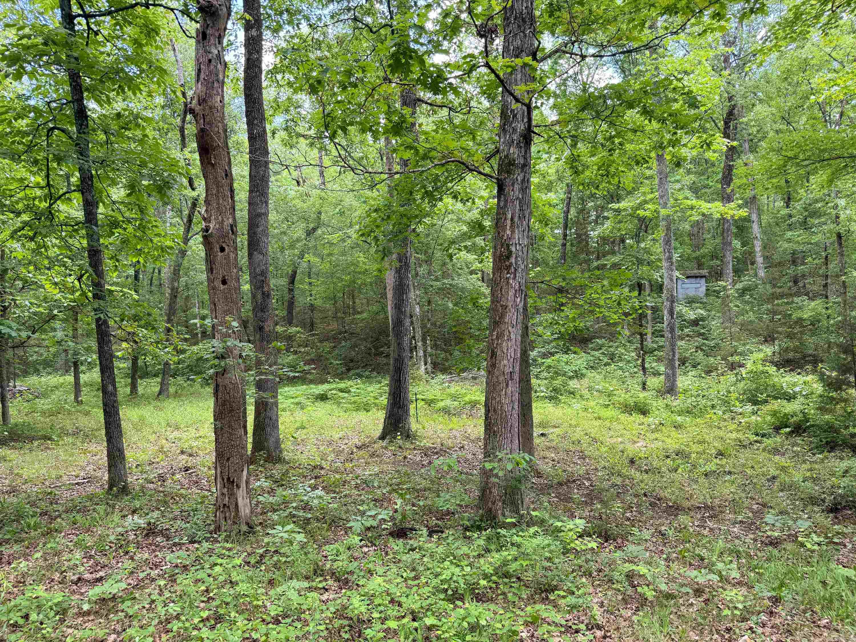 3200  Edgemont  Quitman, AR