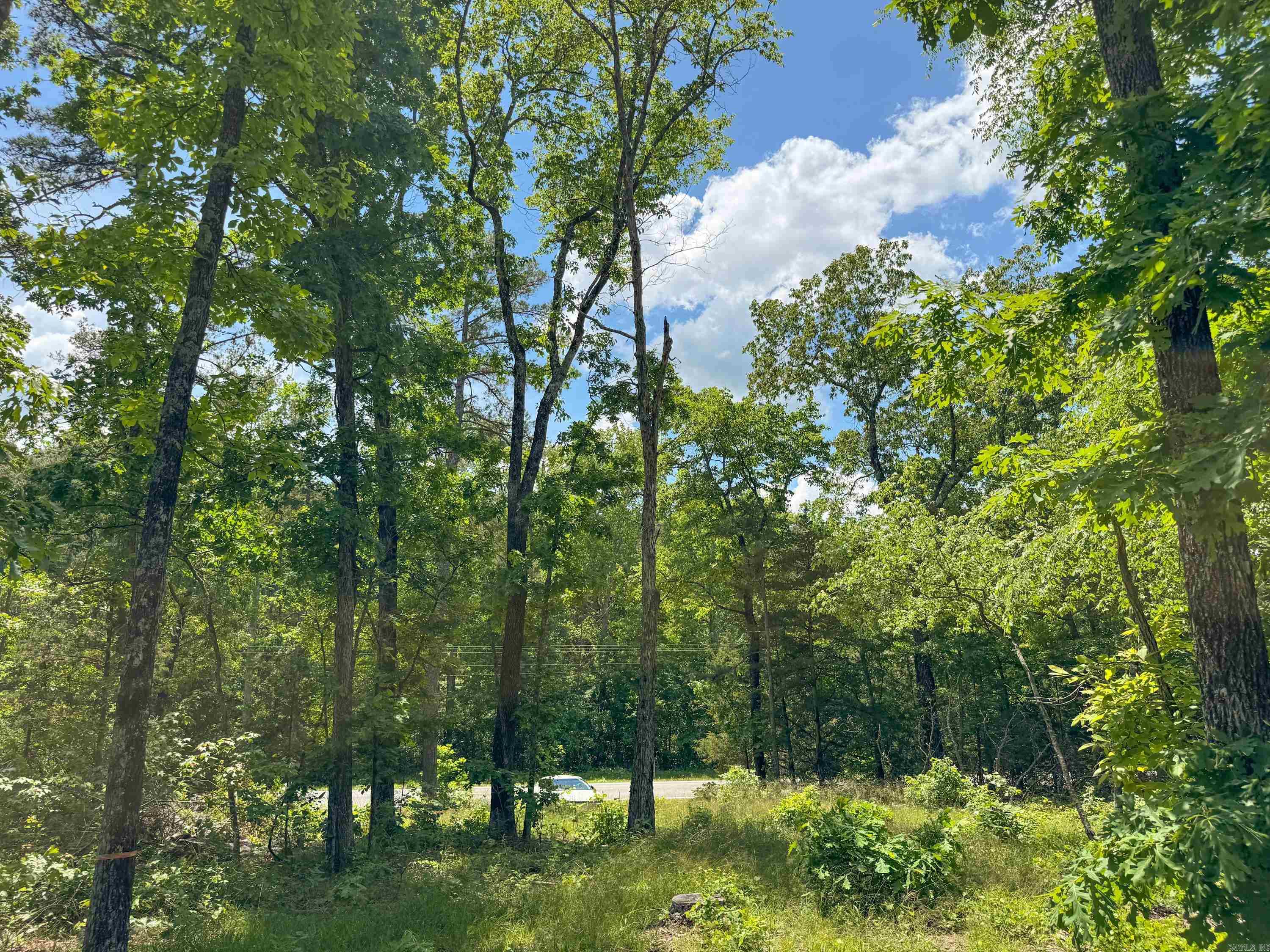 3200  Edgemont  Quitman, AR