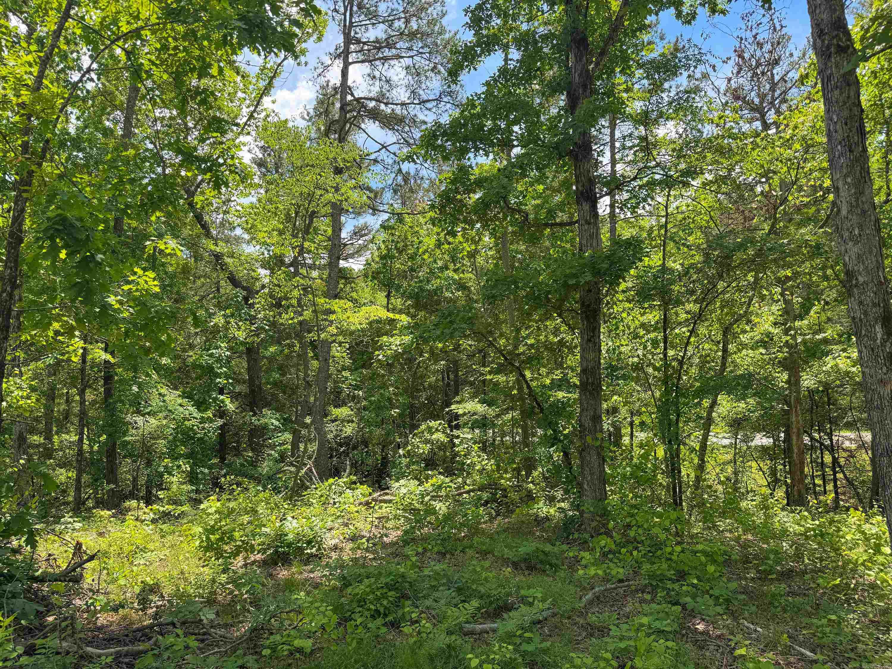 3200  Edgemont  Quitman, AR