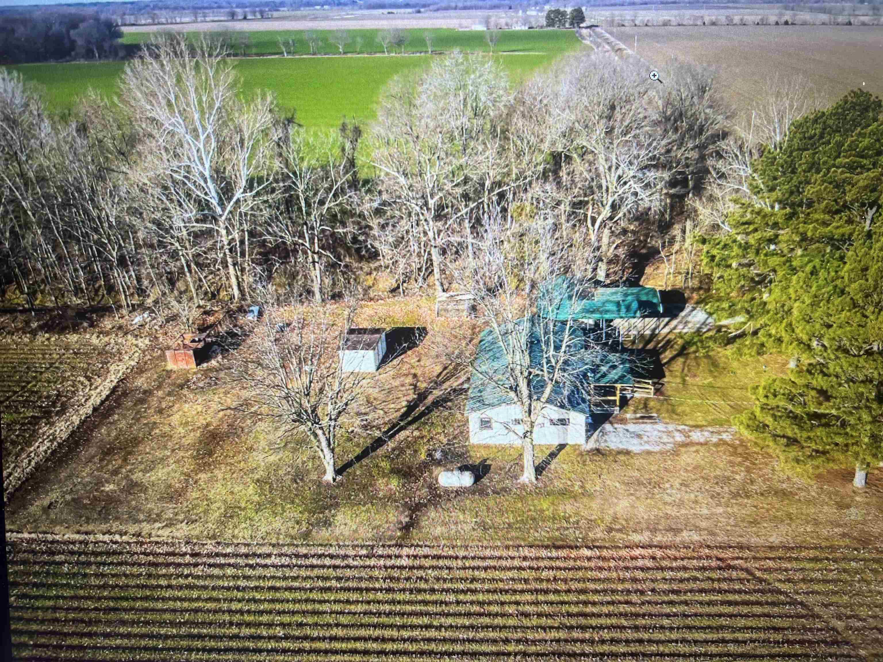 3022  Greene Road 415  Rector, AR