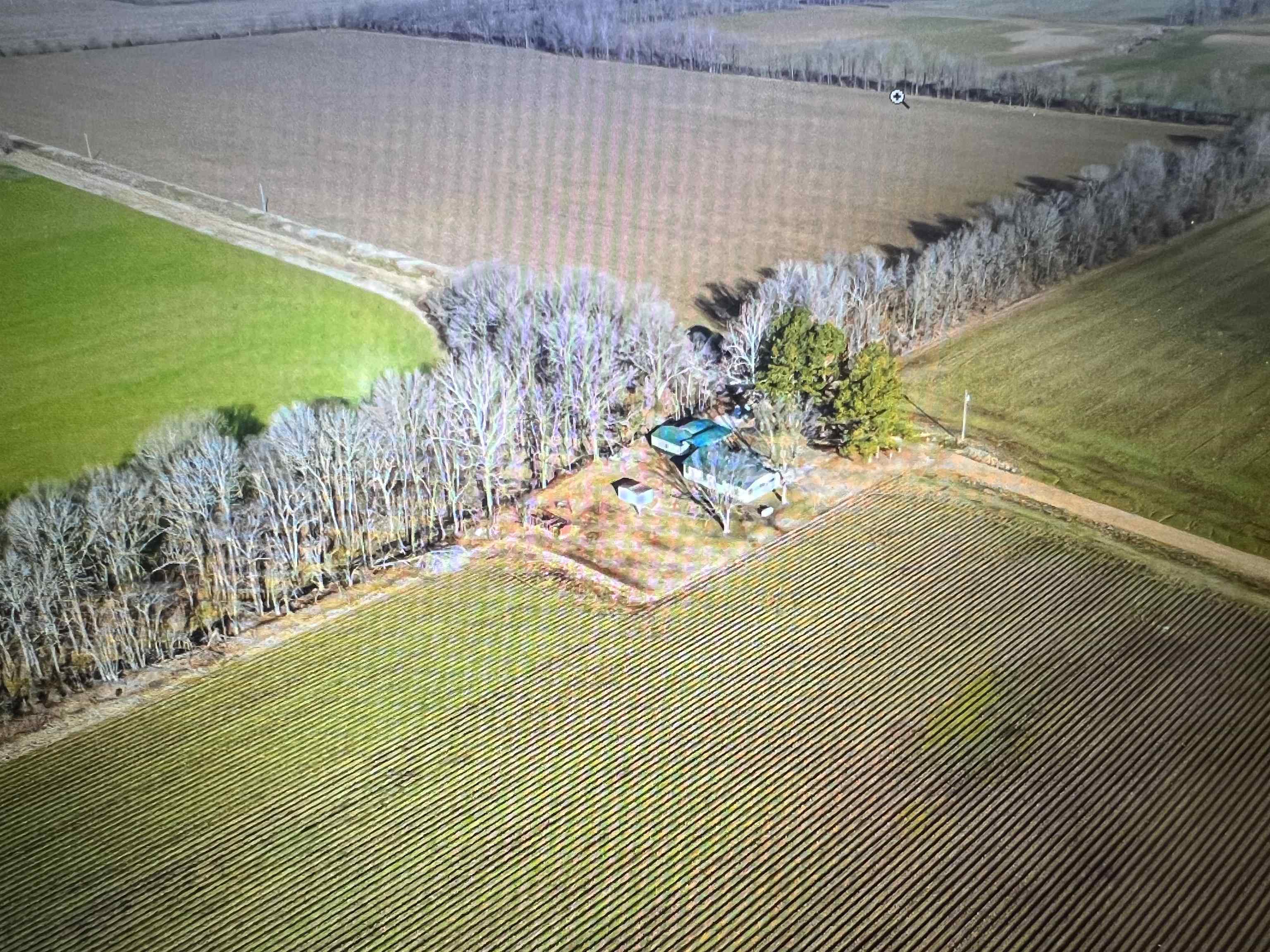 3022  Greene Road 415  Rector, AR