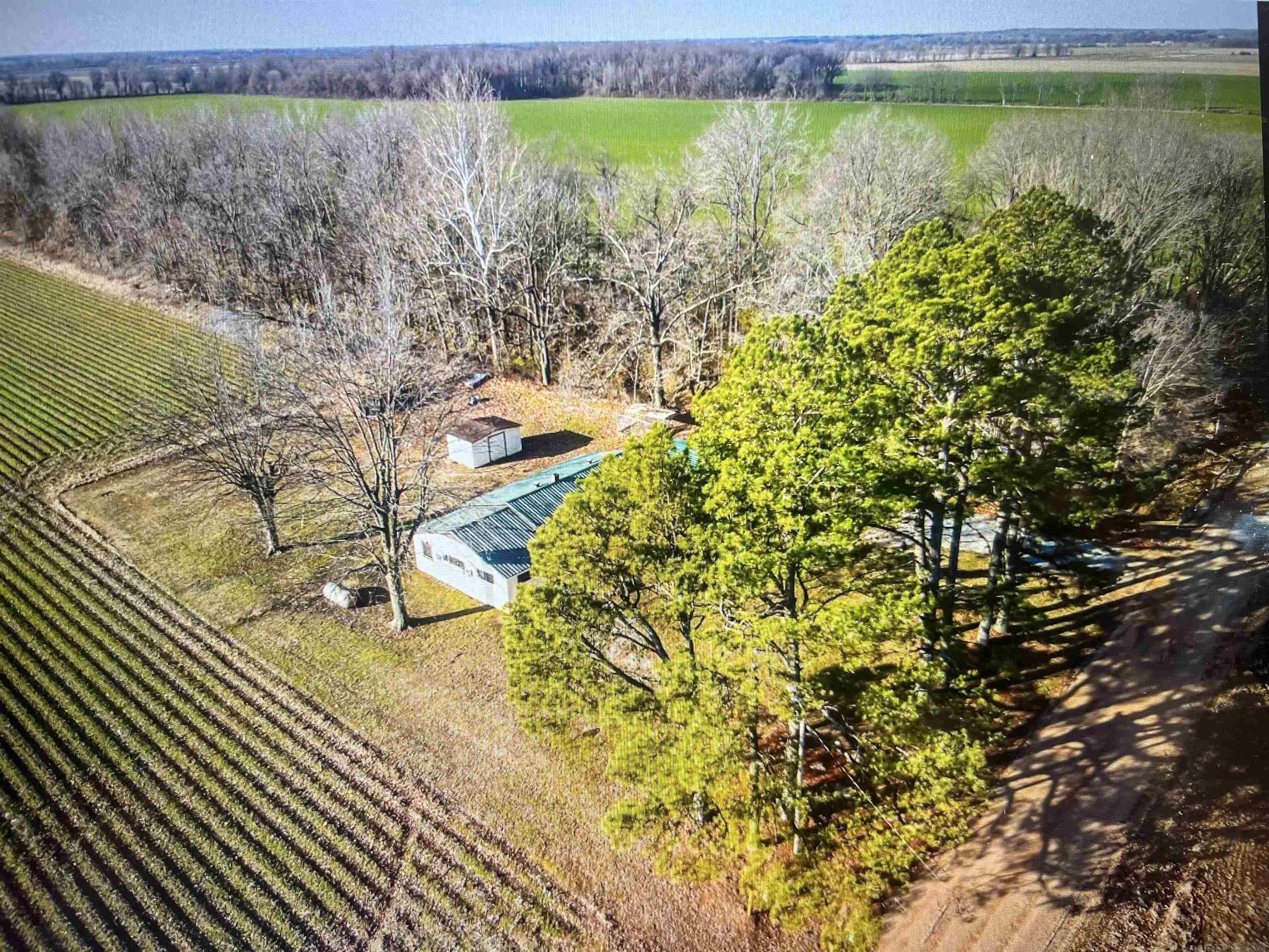 3022  Greene Road 415  Rector, AR