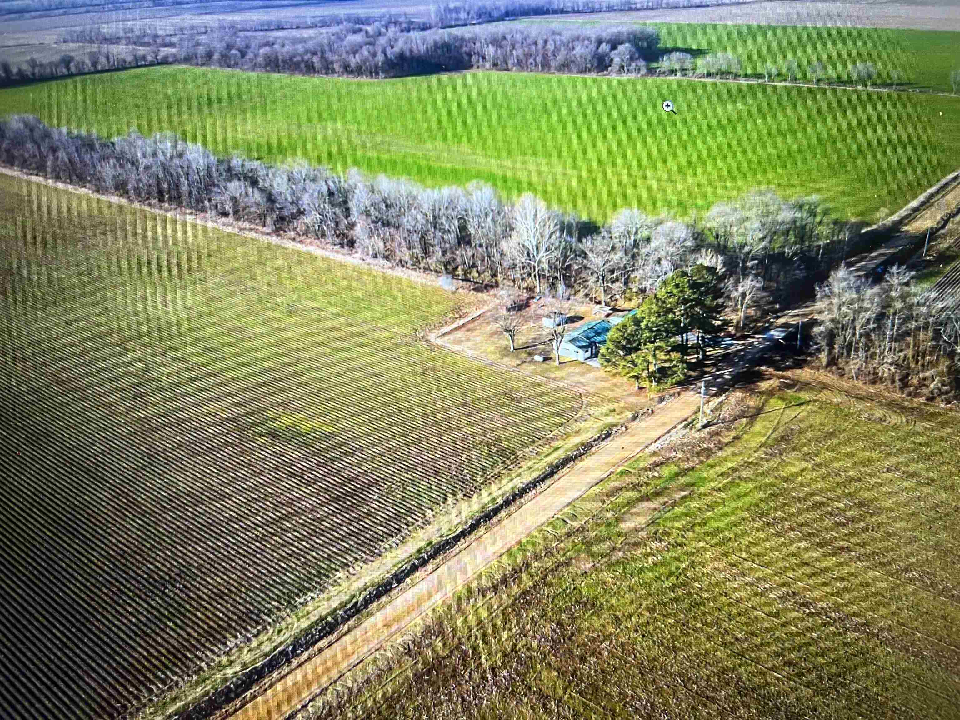3022  Greene Road 415  Rector, AR