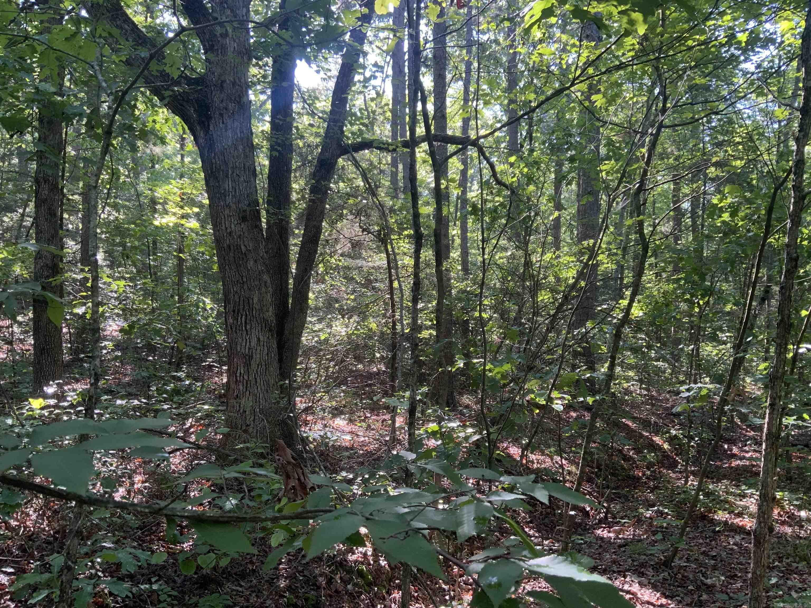000  Dekalb  Tumbling Shoals, AR