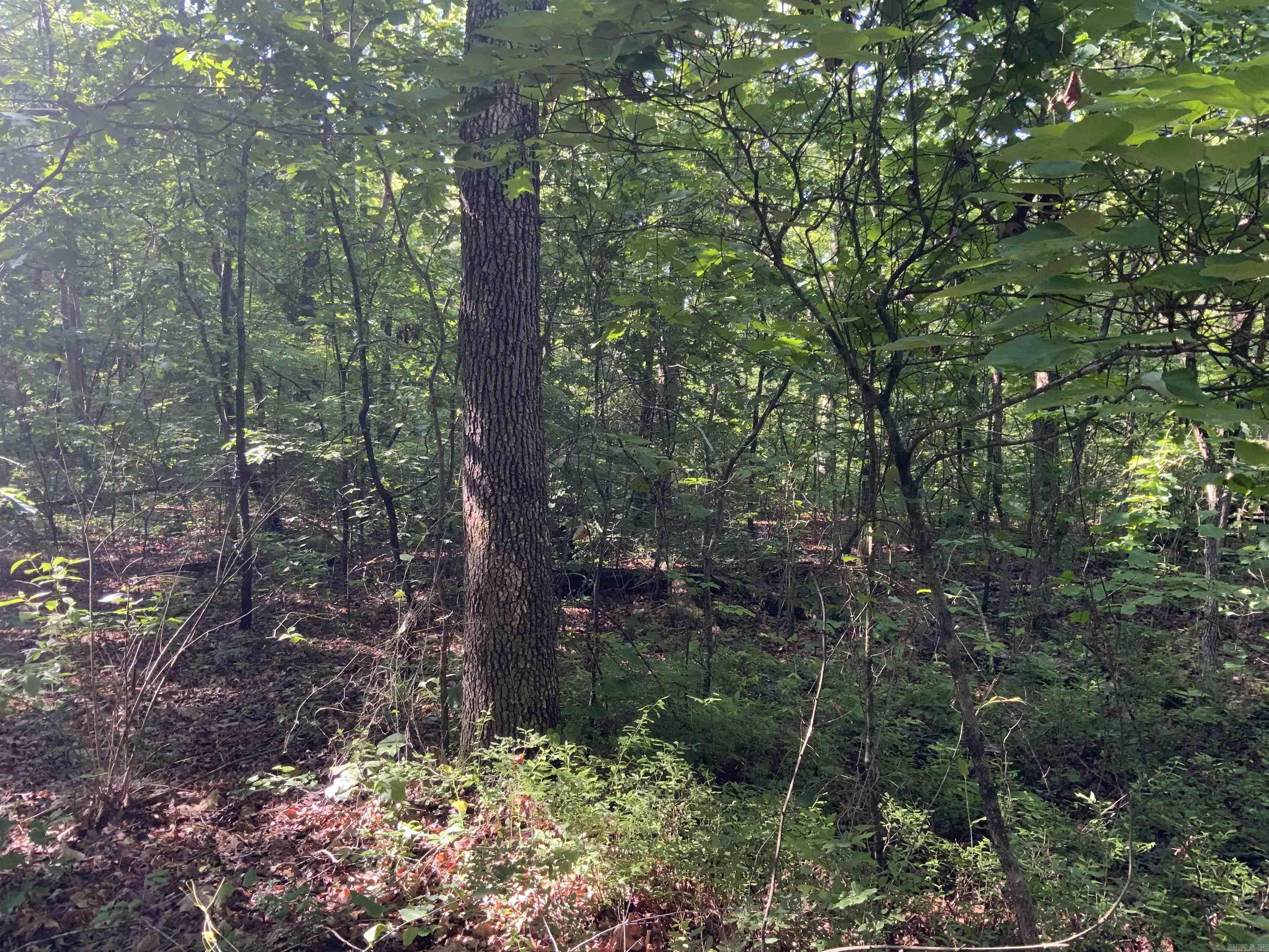 000  Dekalb  Tumbling Shoals, AR