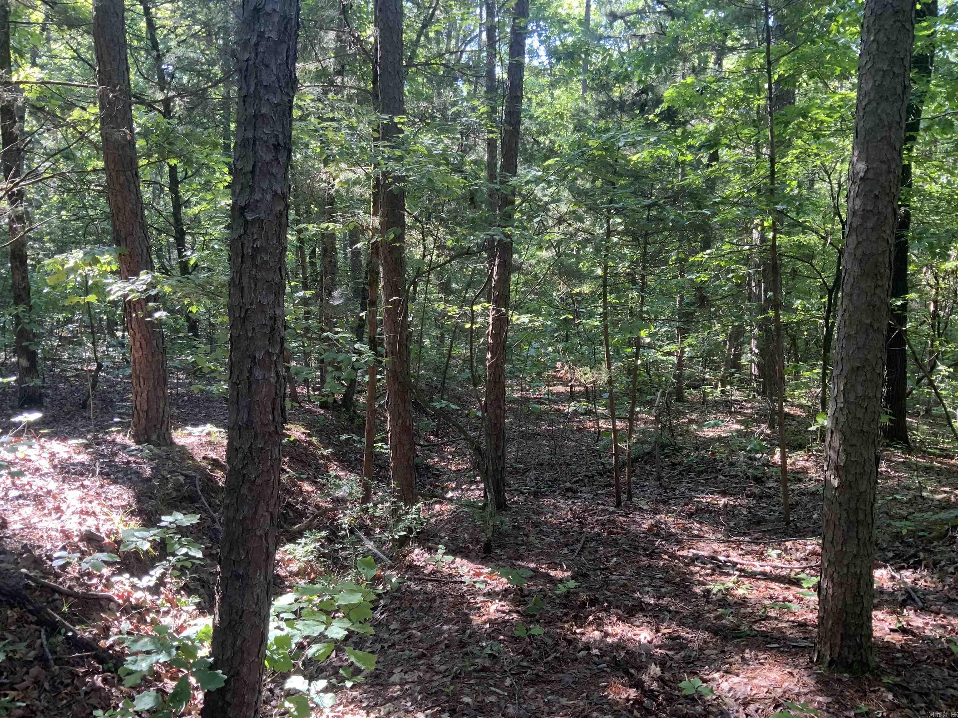 000  Dekalb  Tumbling Shoals, AR