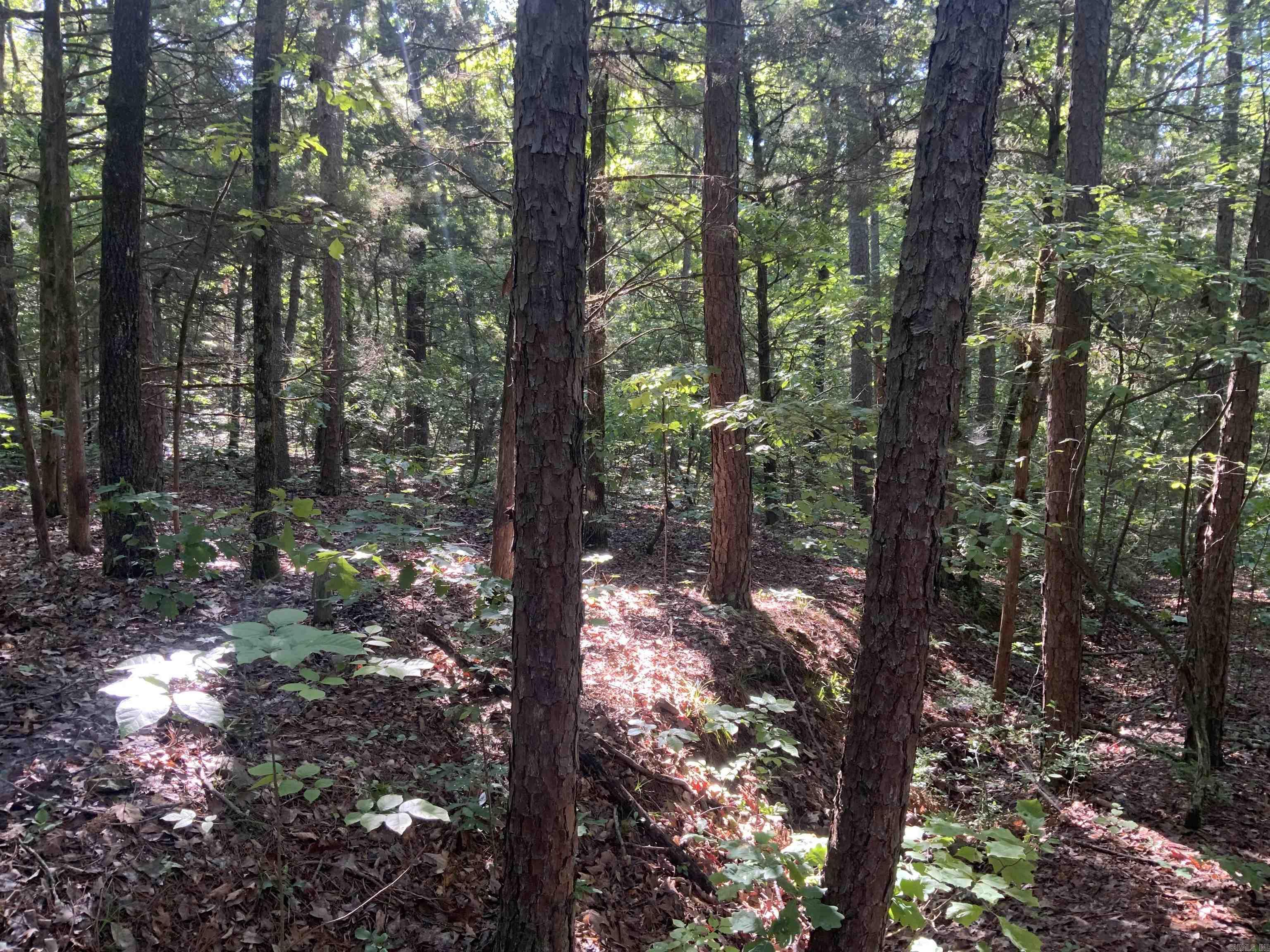 000  Dekalb  Tumbling Shoals, AR