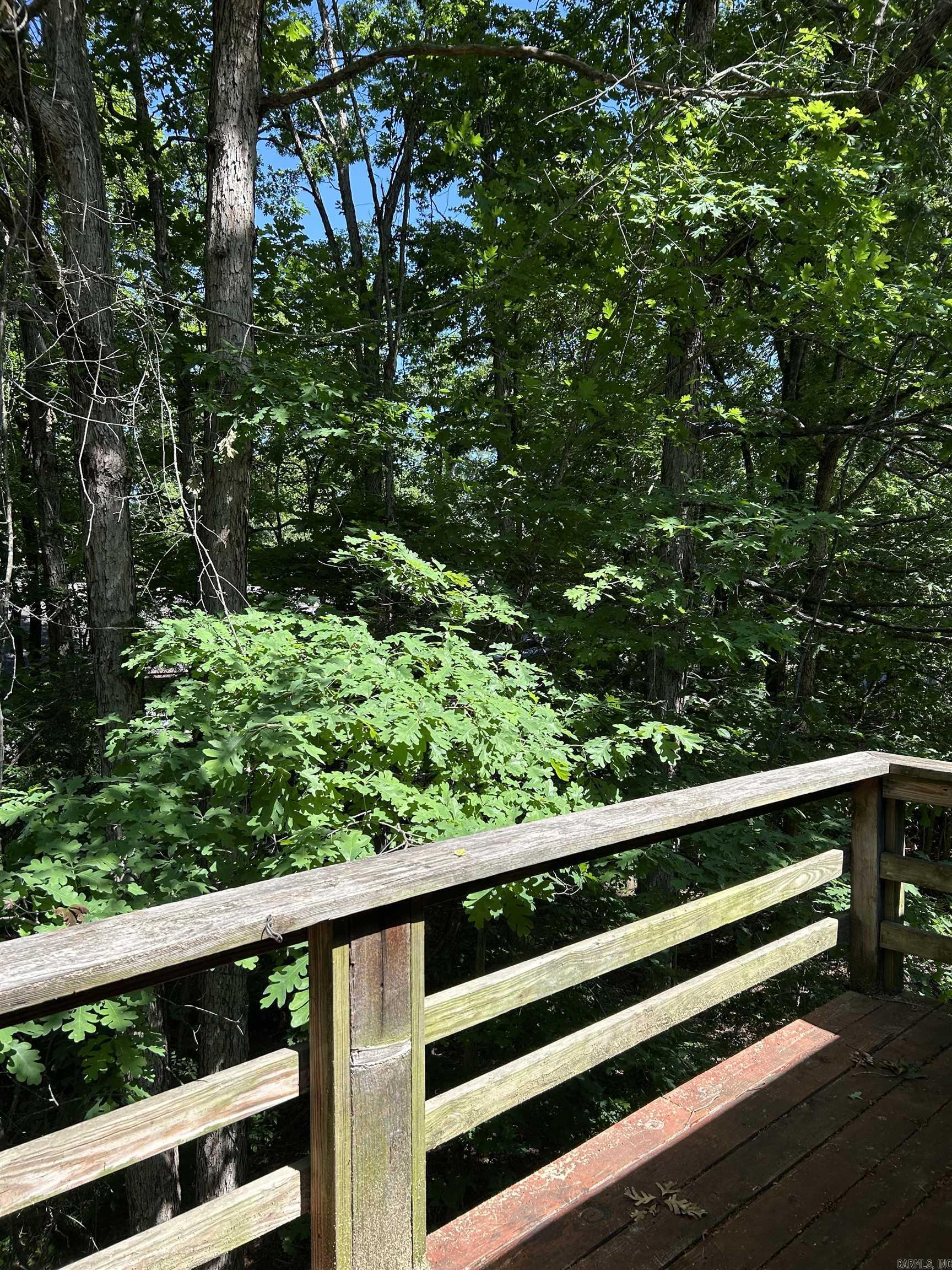 10  Lonjeta  Hot Springs Village, AR