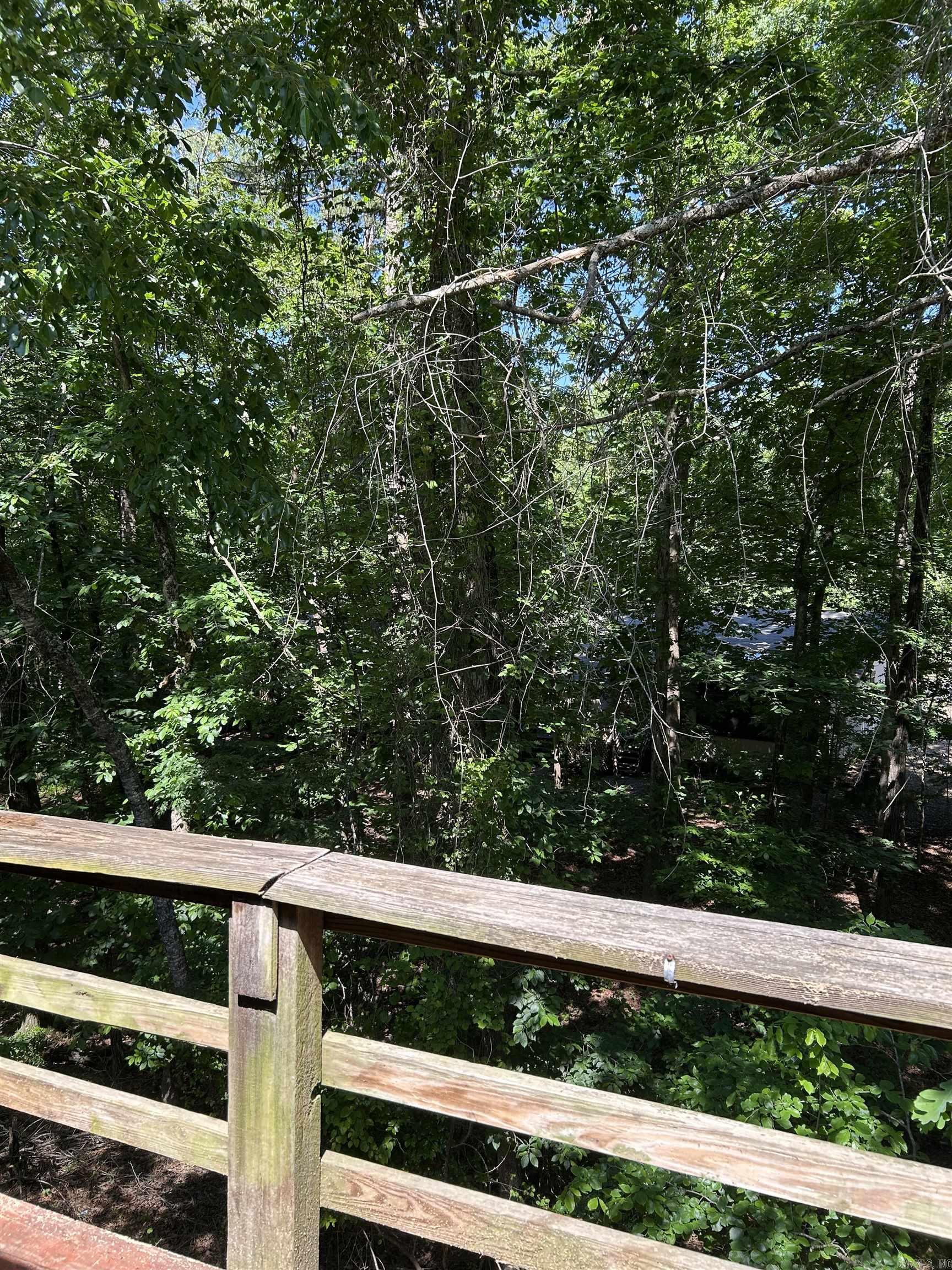 10  Lonjeta  Hot Springs Village, AR