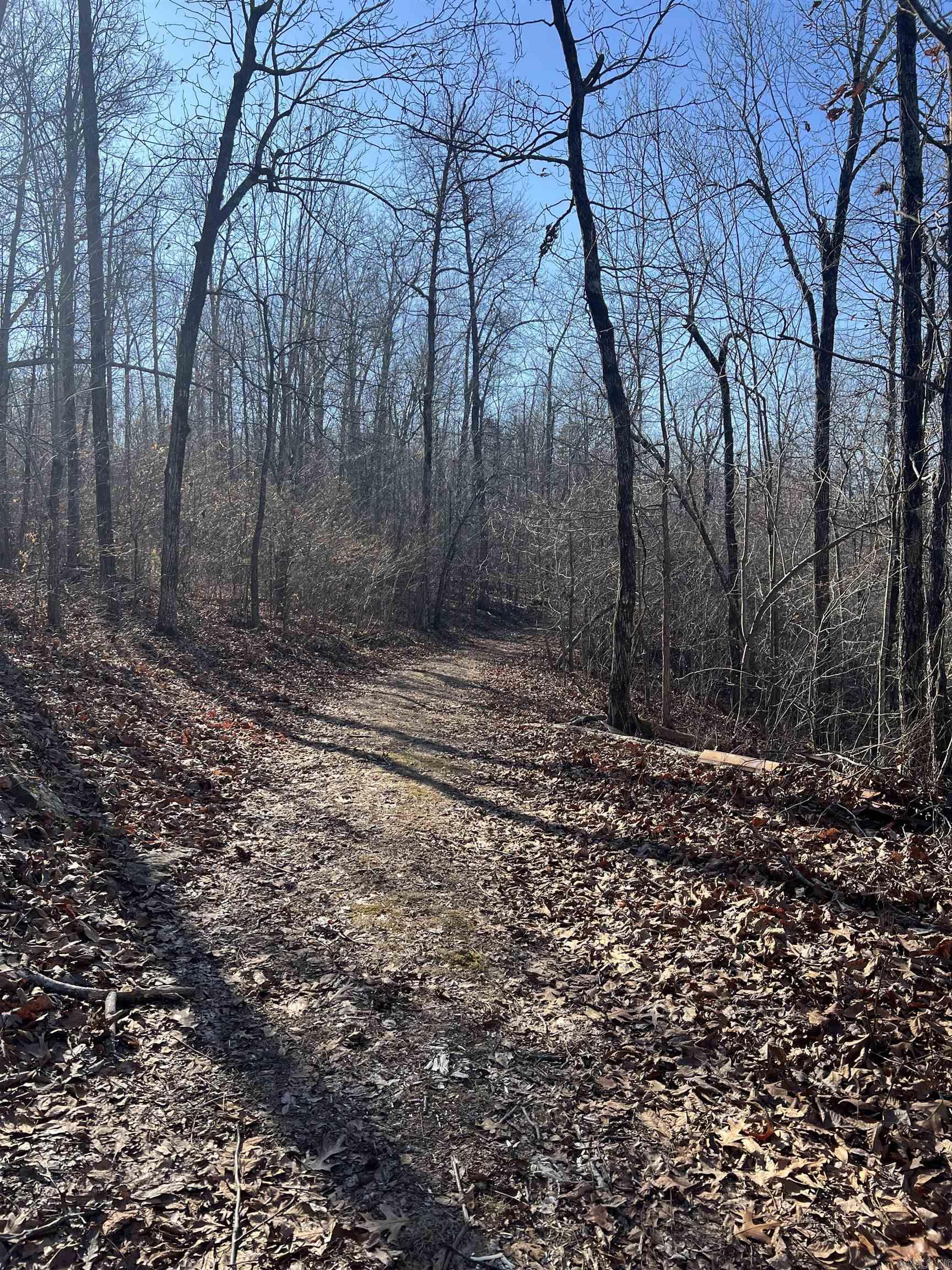 2883  Peyton Creek Road  Dennard, AR