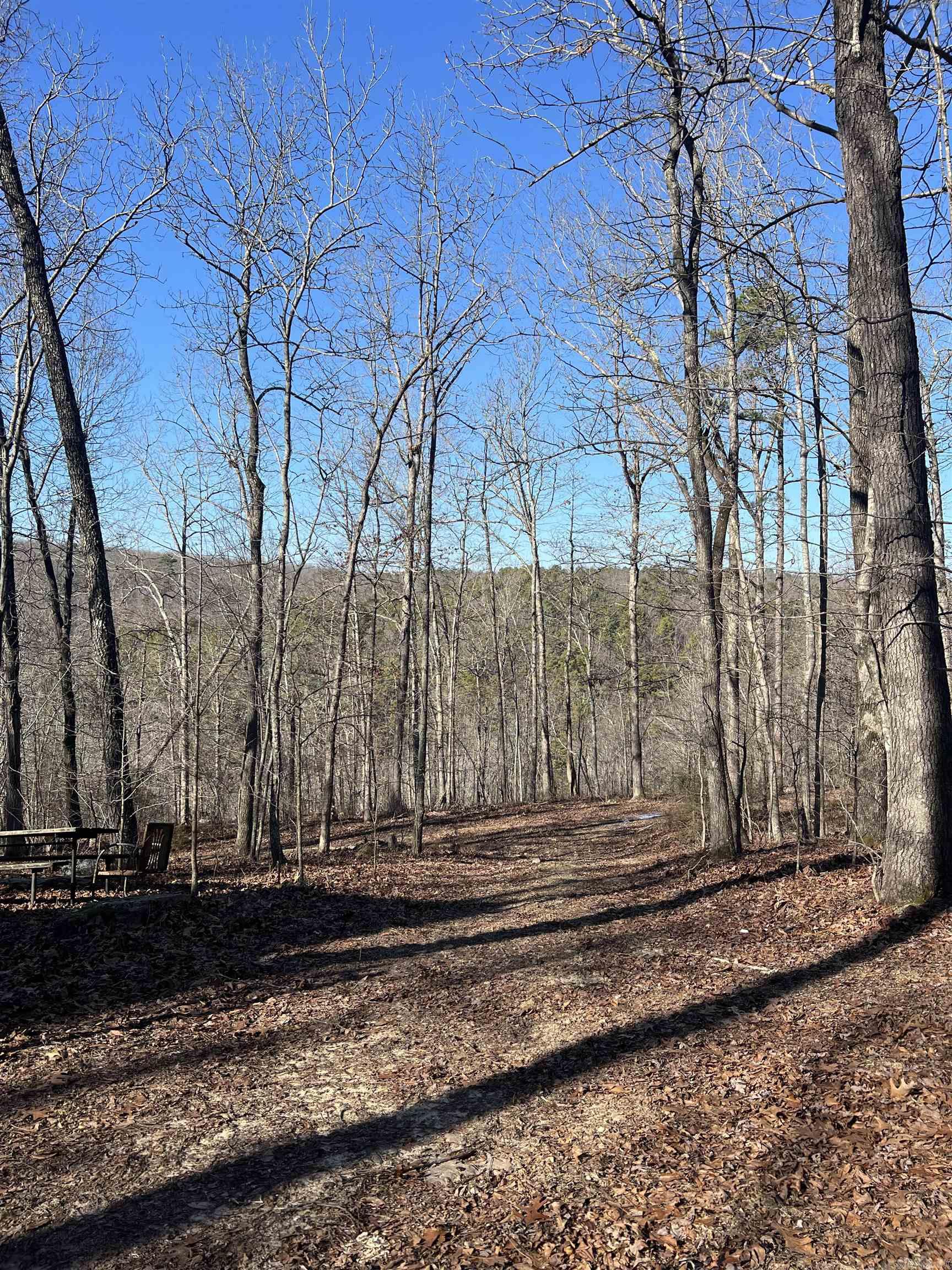 2883  Peyton Creek Road  Dennard, AR