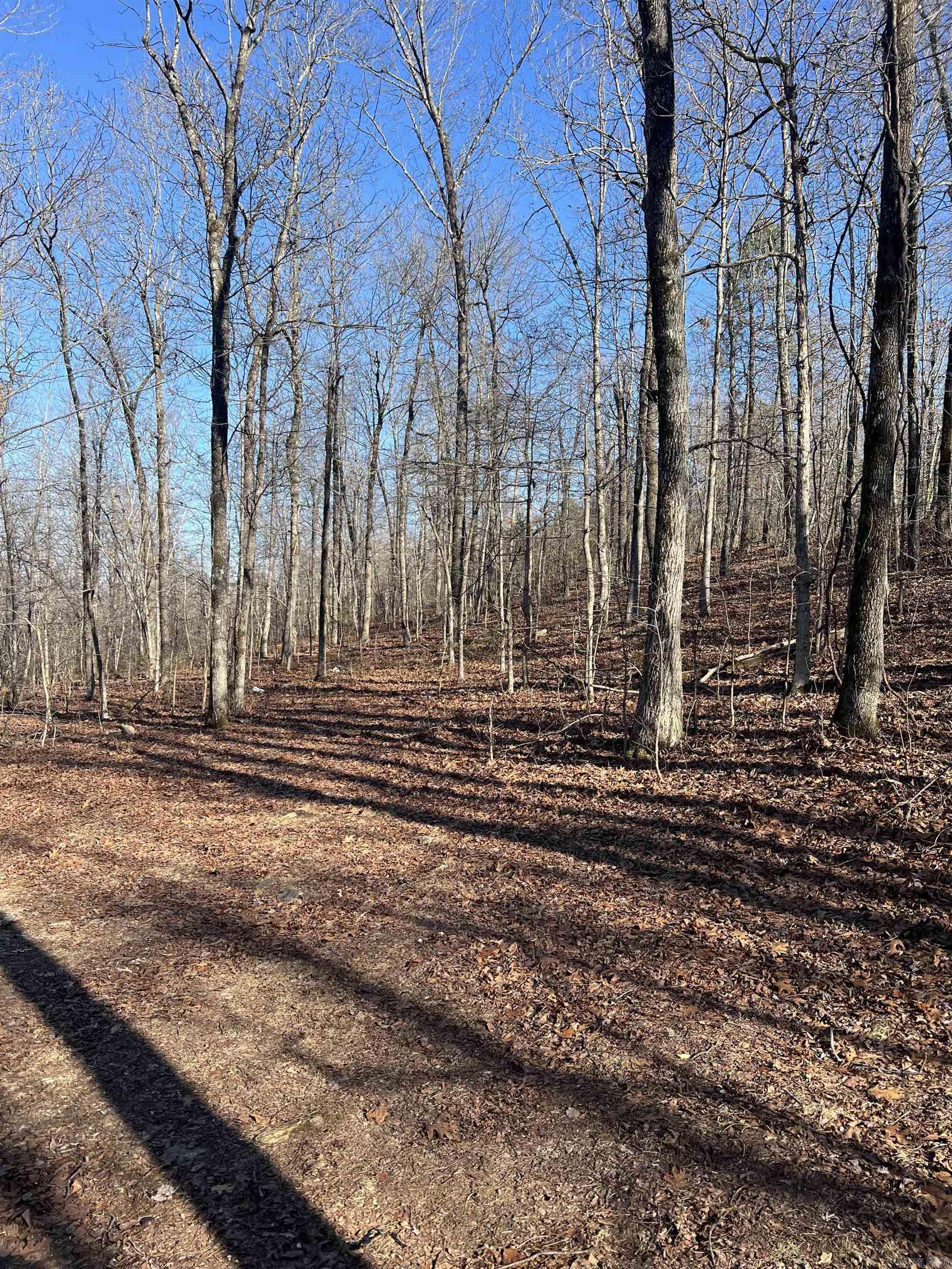 2883  Peyton Creek Road  Dennard, AR