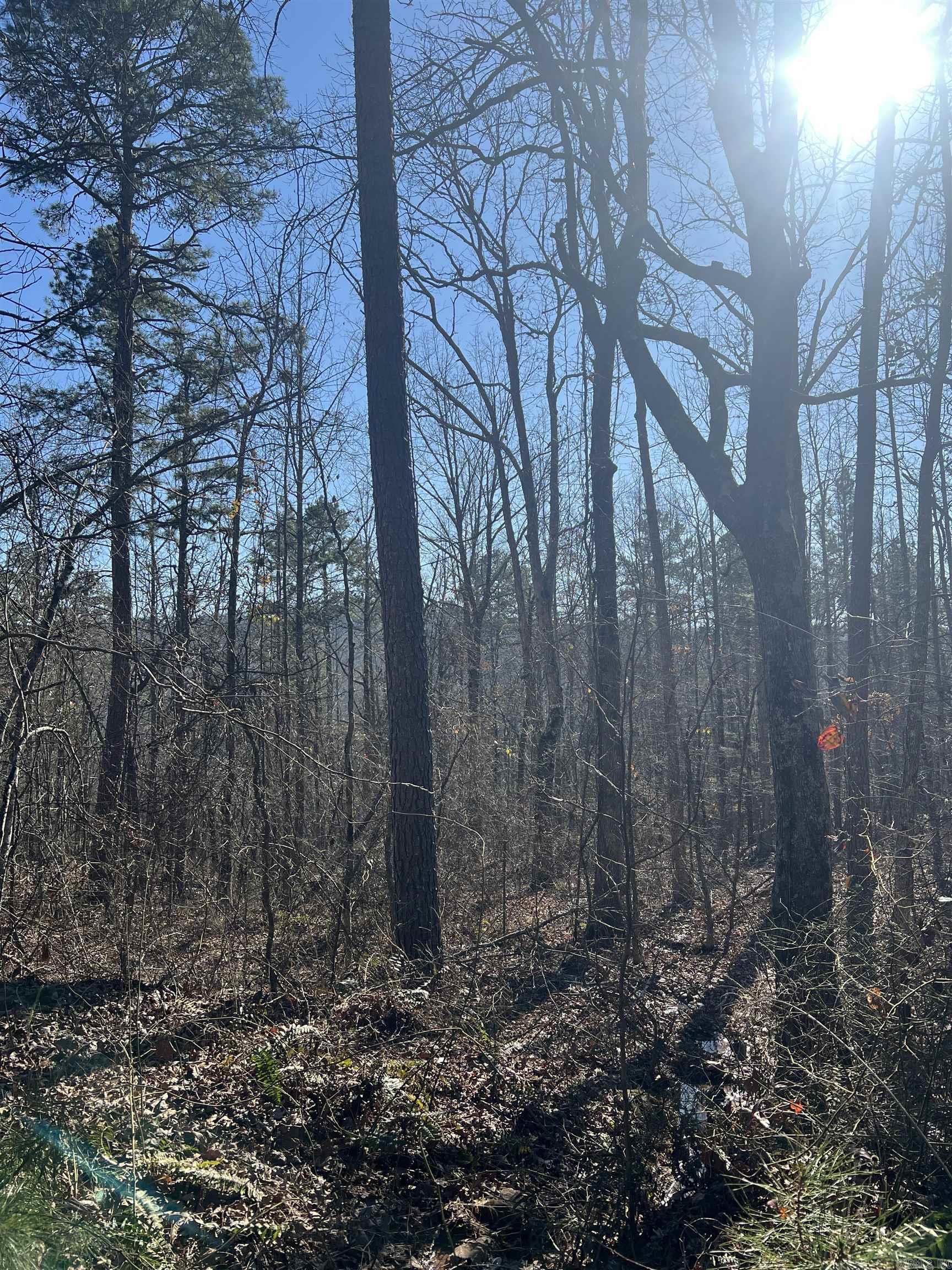 2883  Peyton Creek Road  Dennard, AR