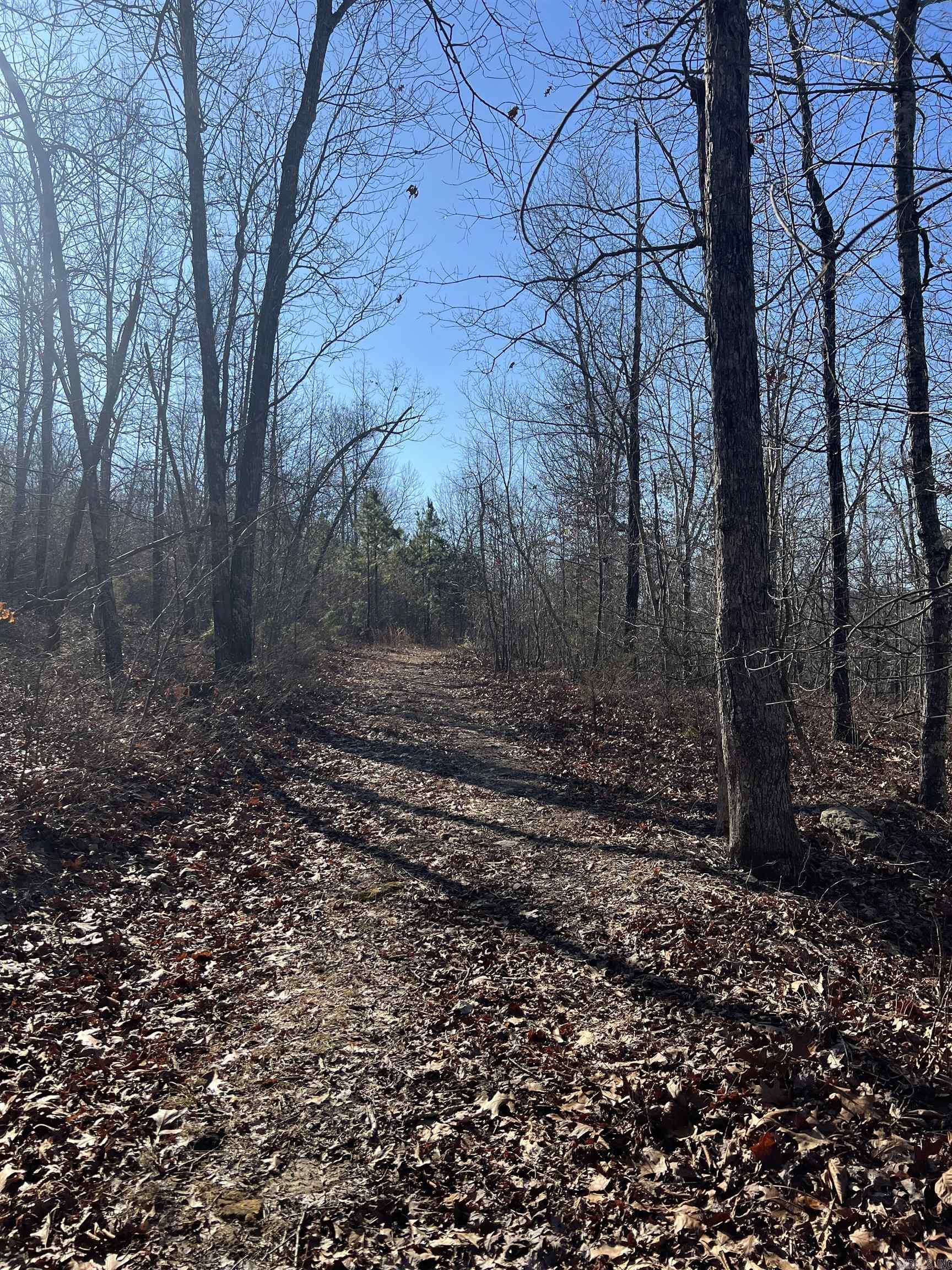 2883  Peyton Creek Road  Dennard, AR