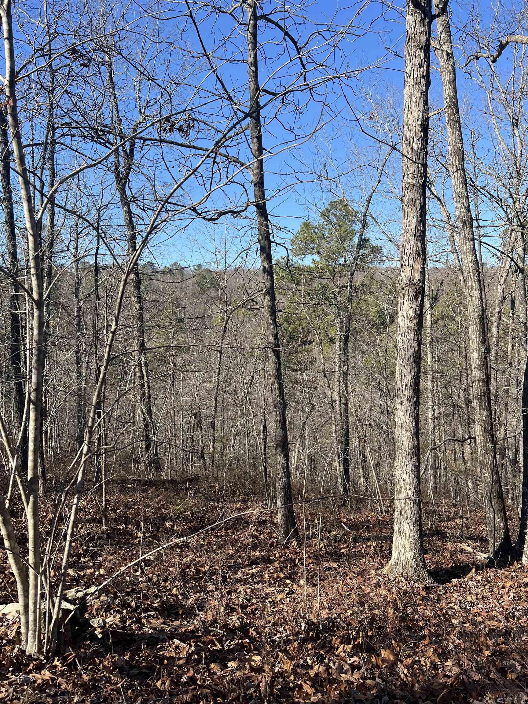 2883  Peyton Creek Road  Dennard, AR