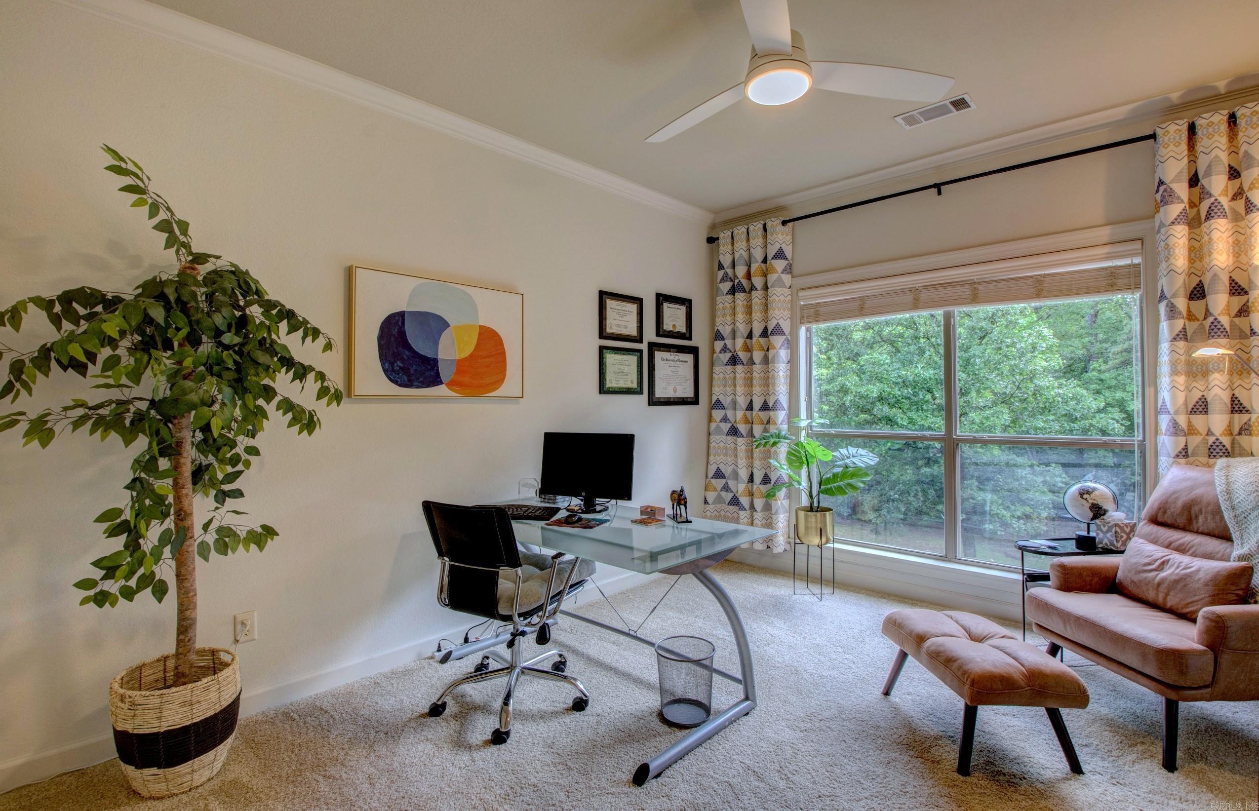 32  Bronte  Little Rock, AR