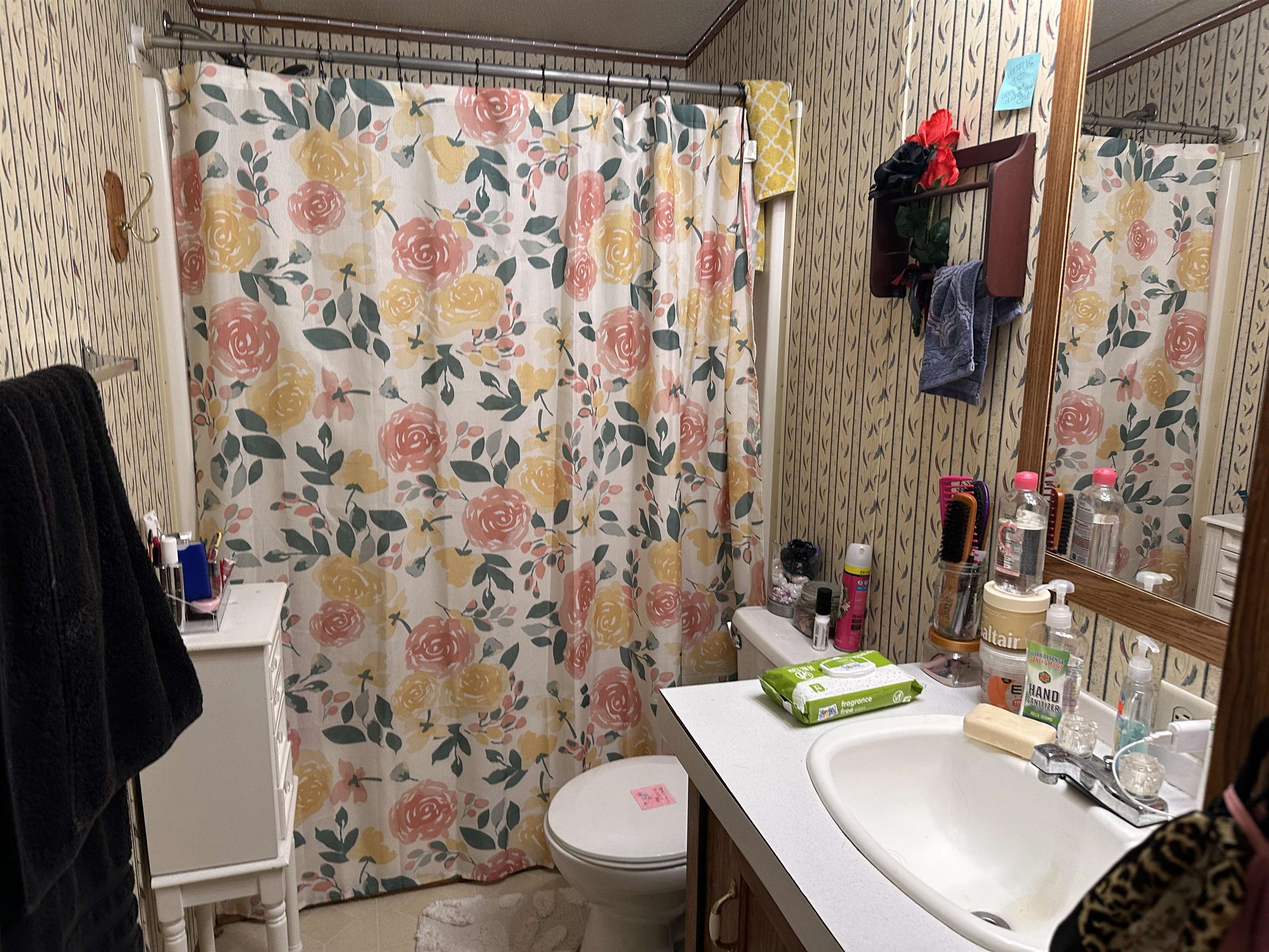 45  Sharp  Ash Flat, AR