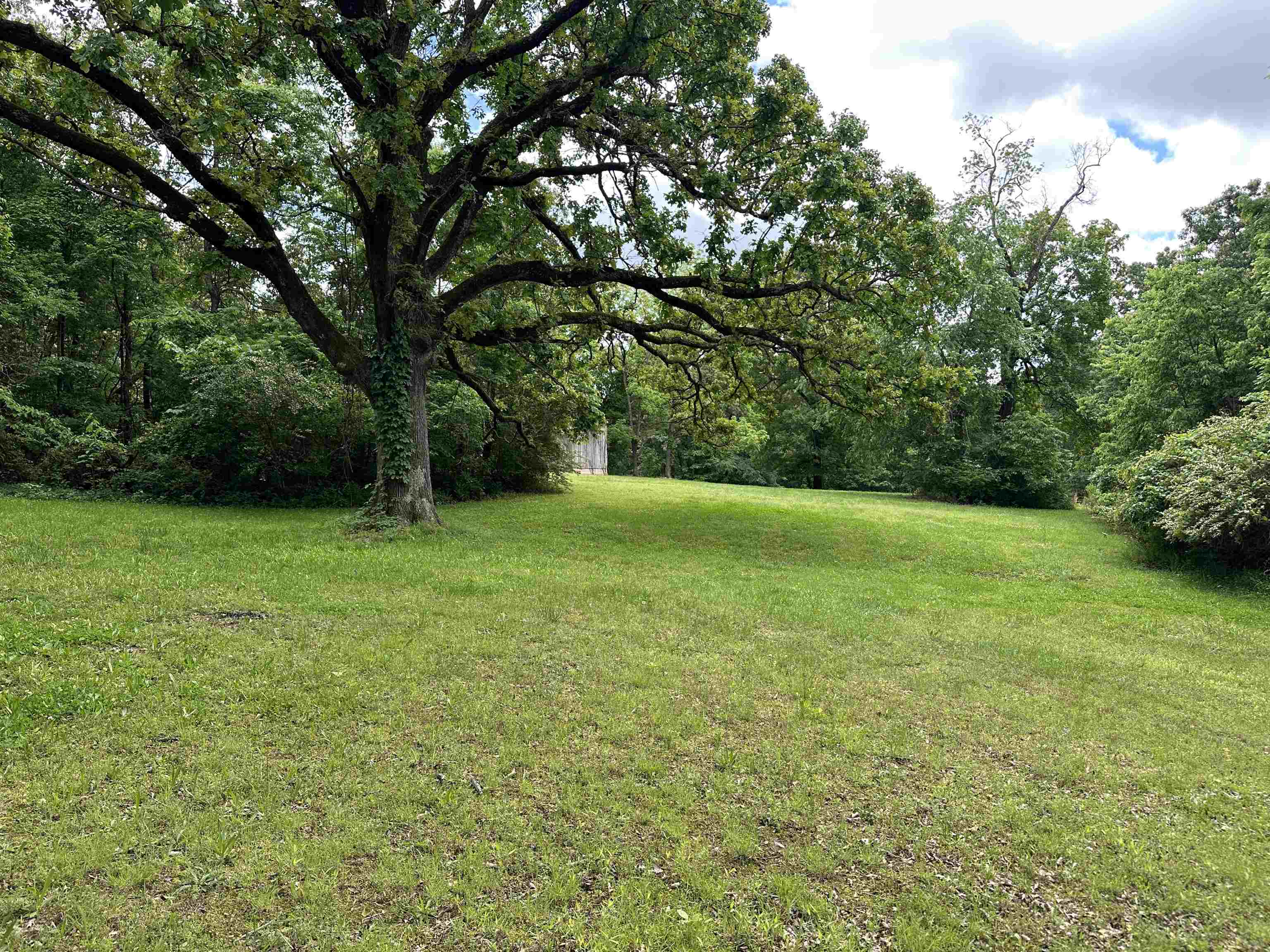 45  Sharp  Ash Flat, AR