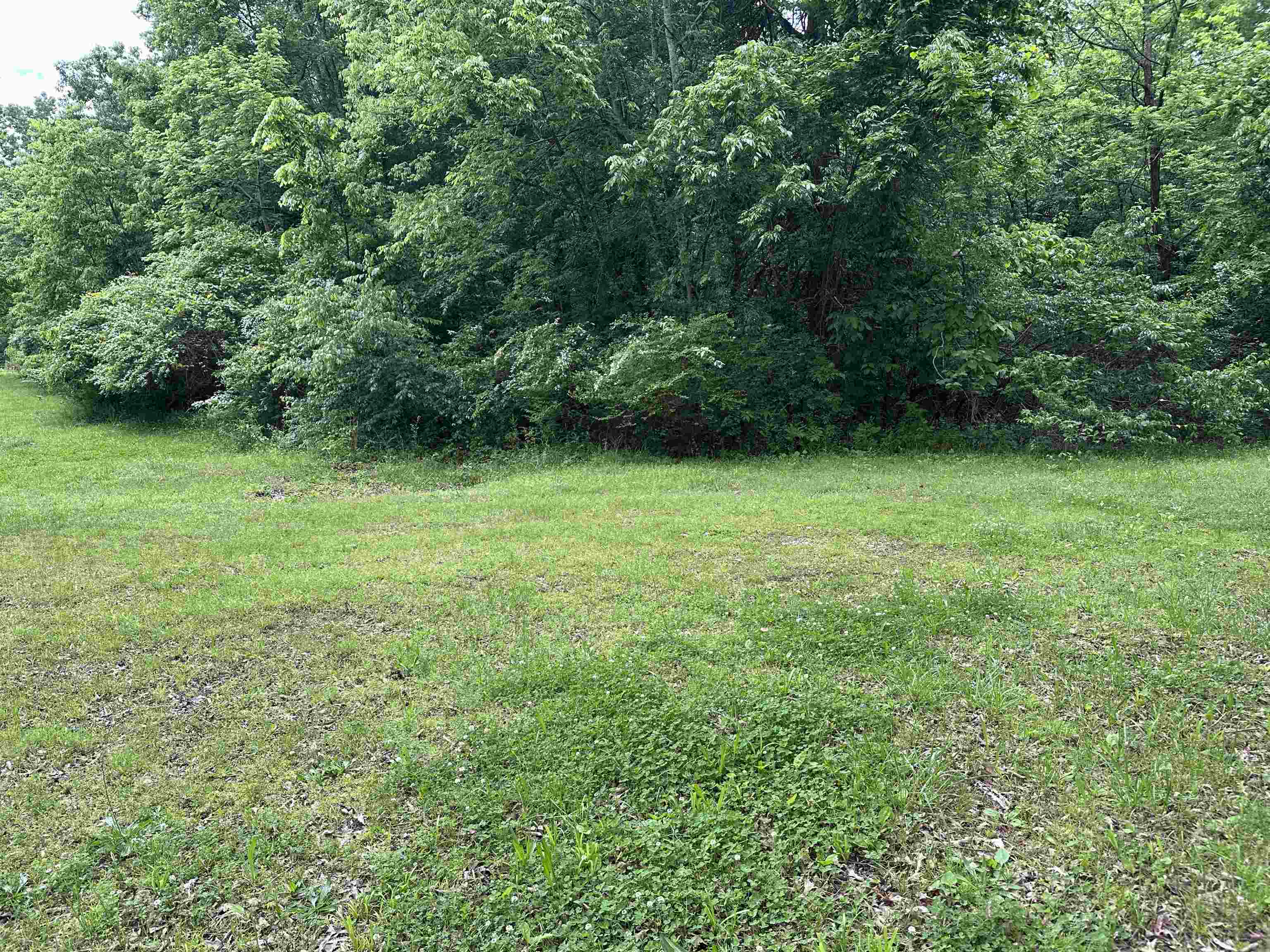 45  Sharp  Ash Flat, AR