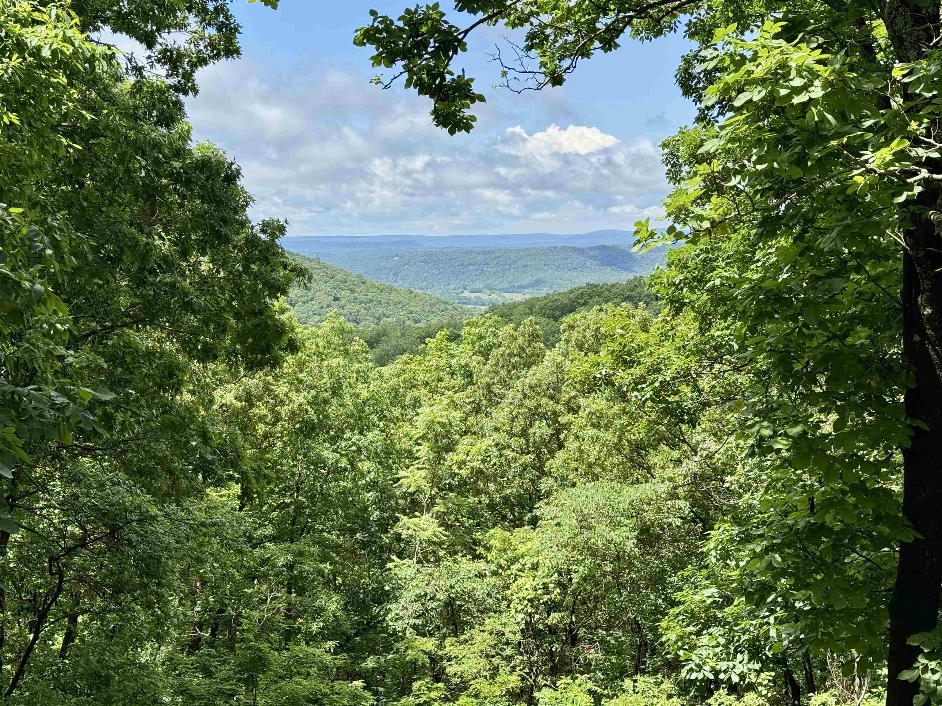 11542 S AR HWY 9  Melbourne, AR