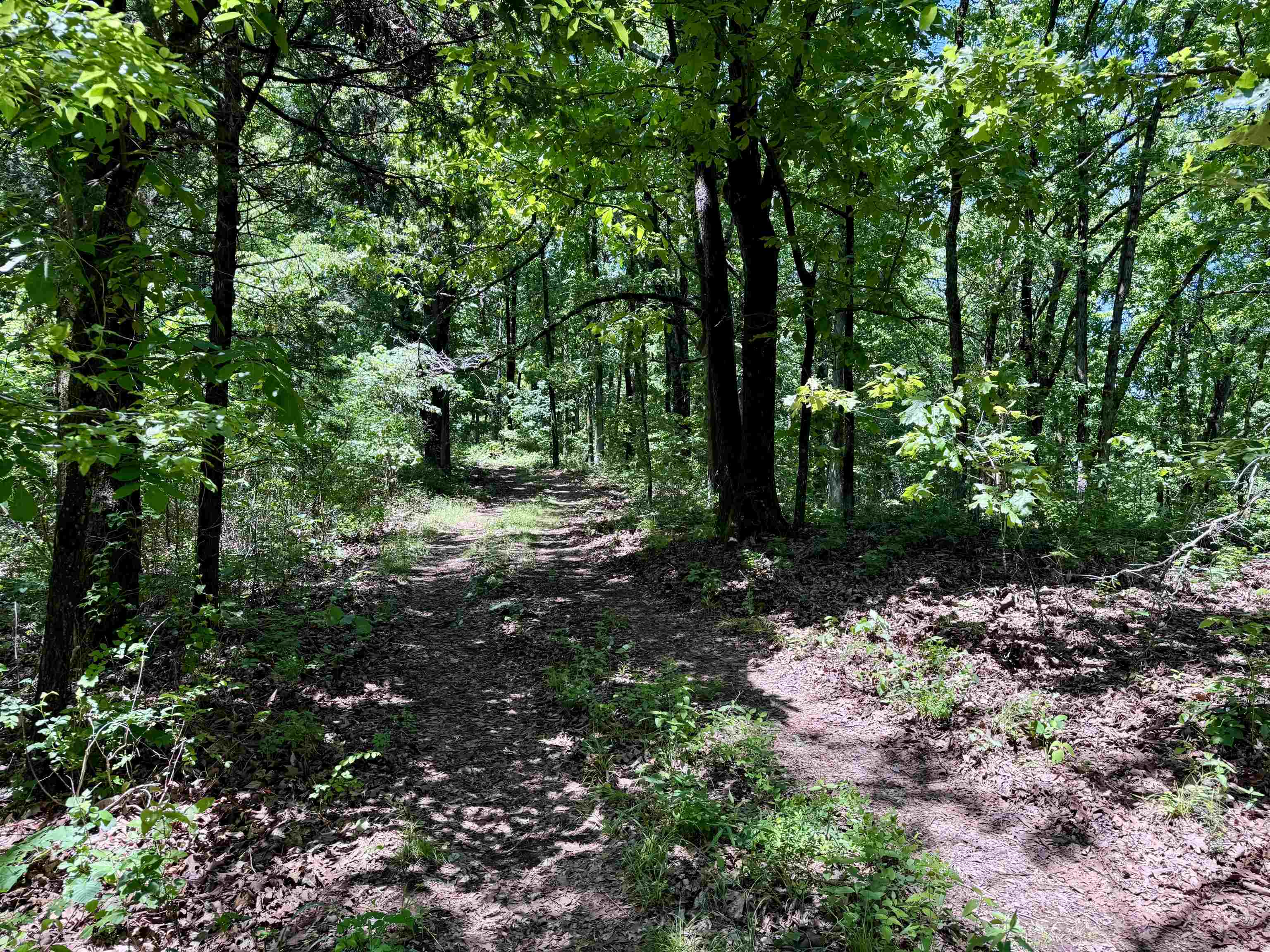 11542 S AR HWY 9  Melbourne, AR