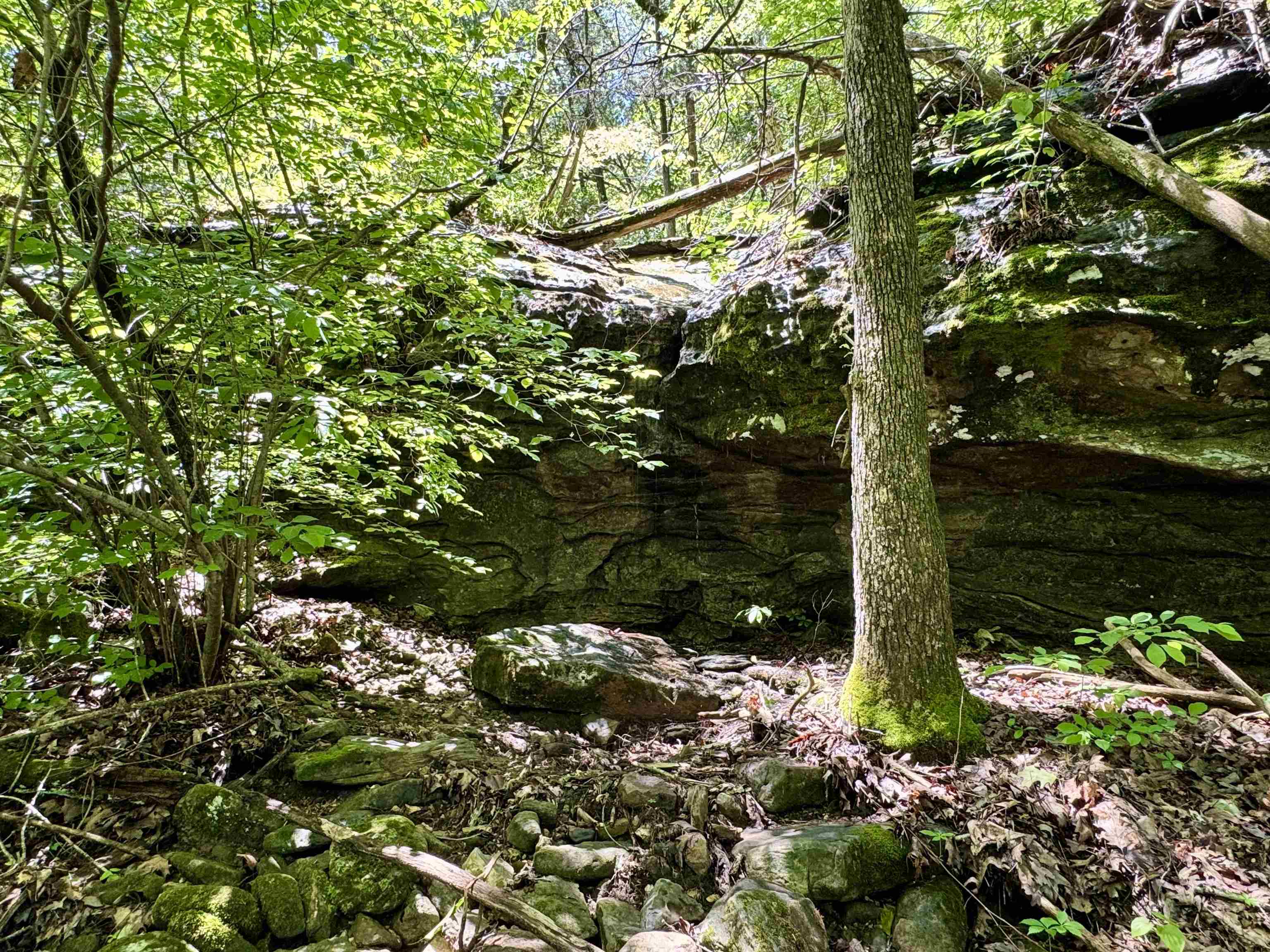 11542 S AR HWY 9  Melbourne, AR