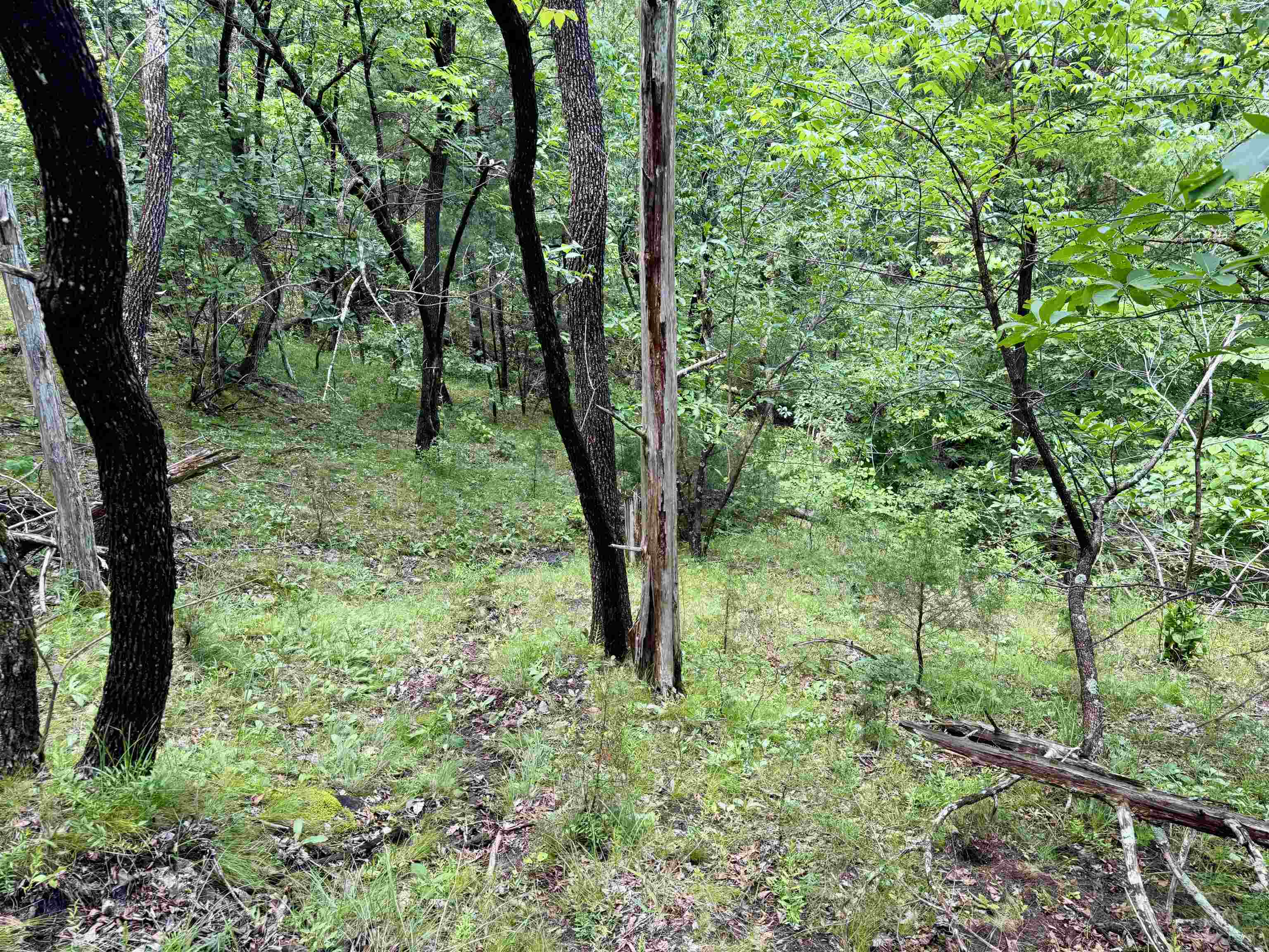 11542 S AR HWY 9  Melbourne, AR