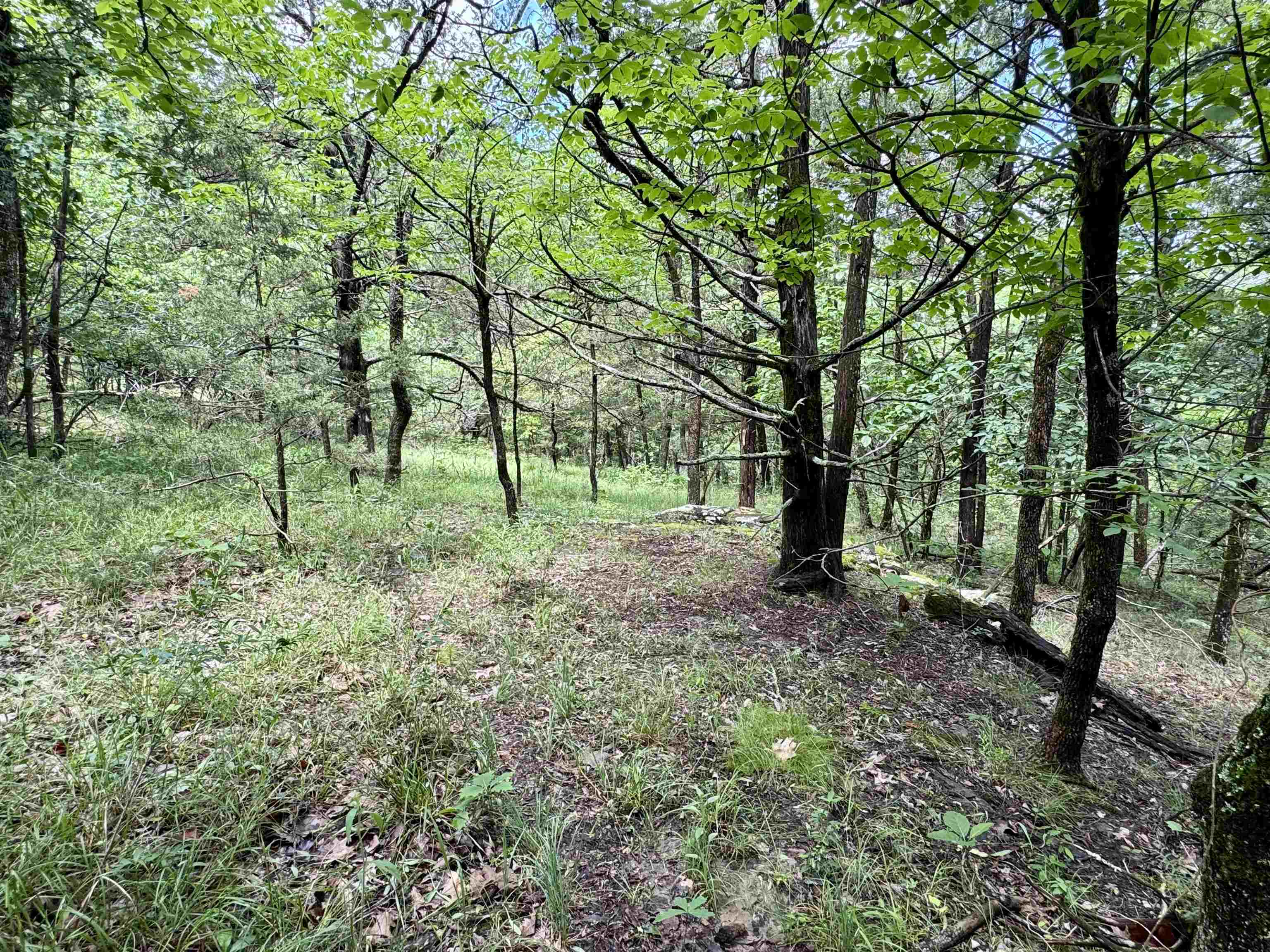 11542 S AR HWY 9  Melbourne, AR