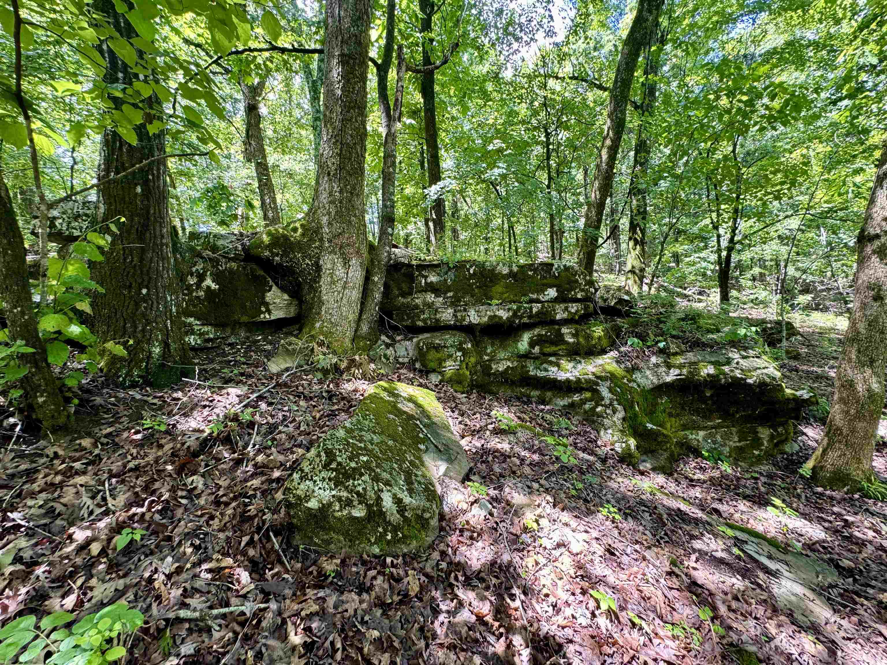 11542 S AR HWY 9  Melbourne, AR