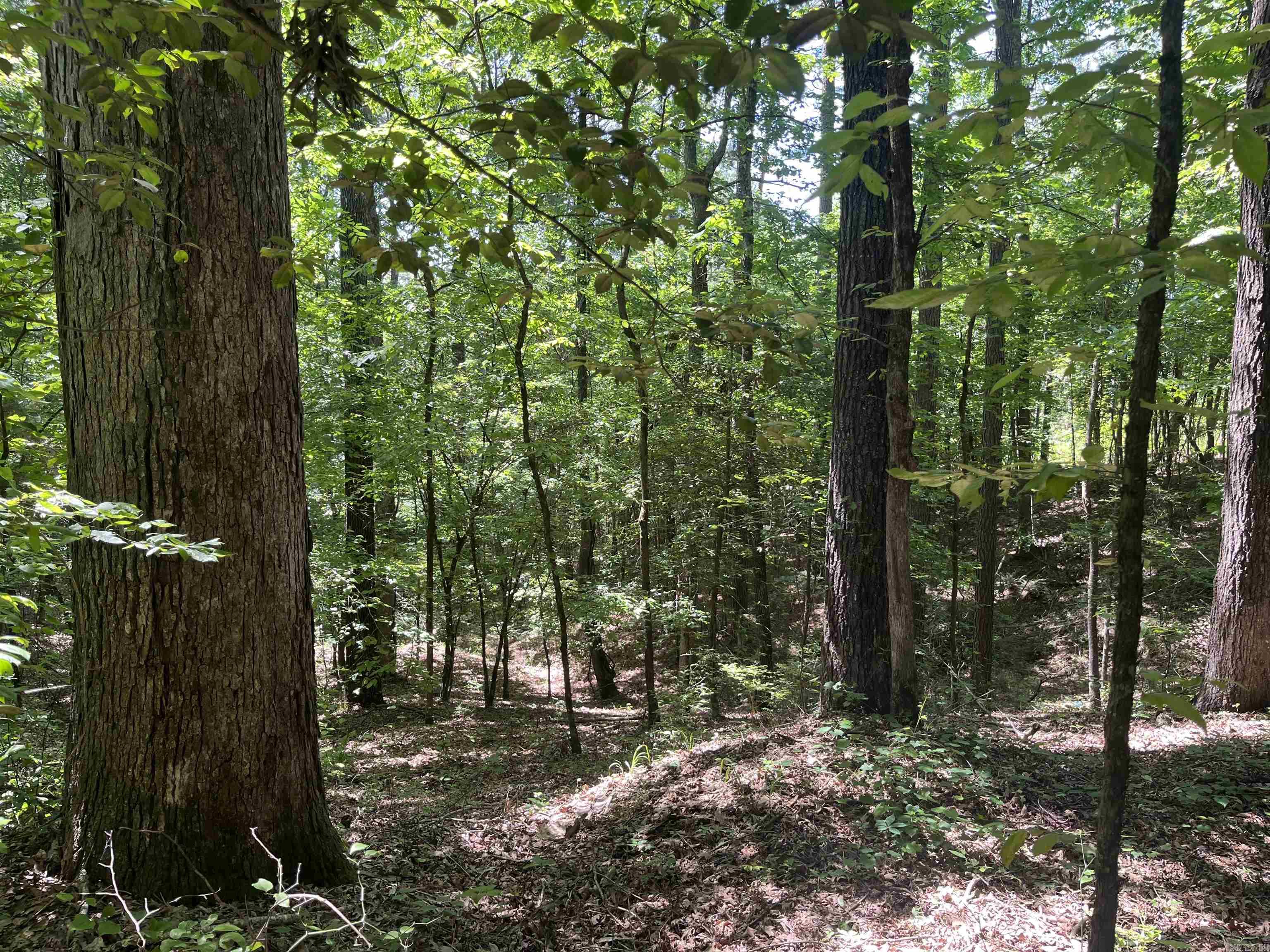   Mount Carmel  Dierks, AR