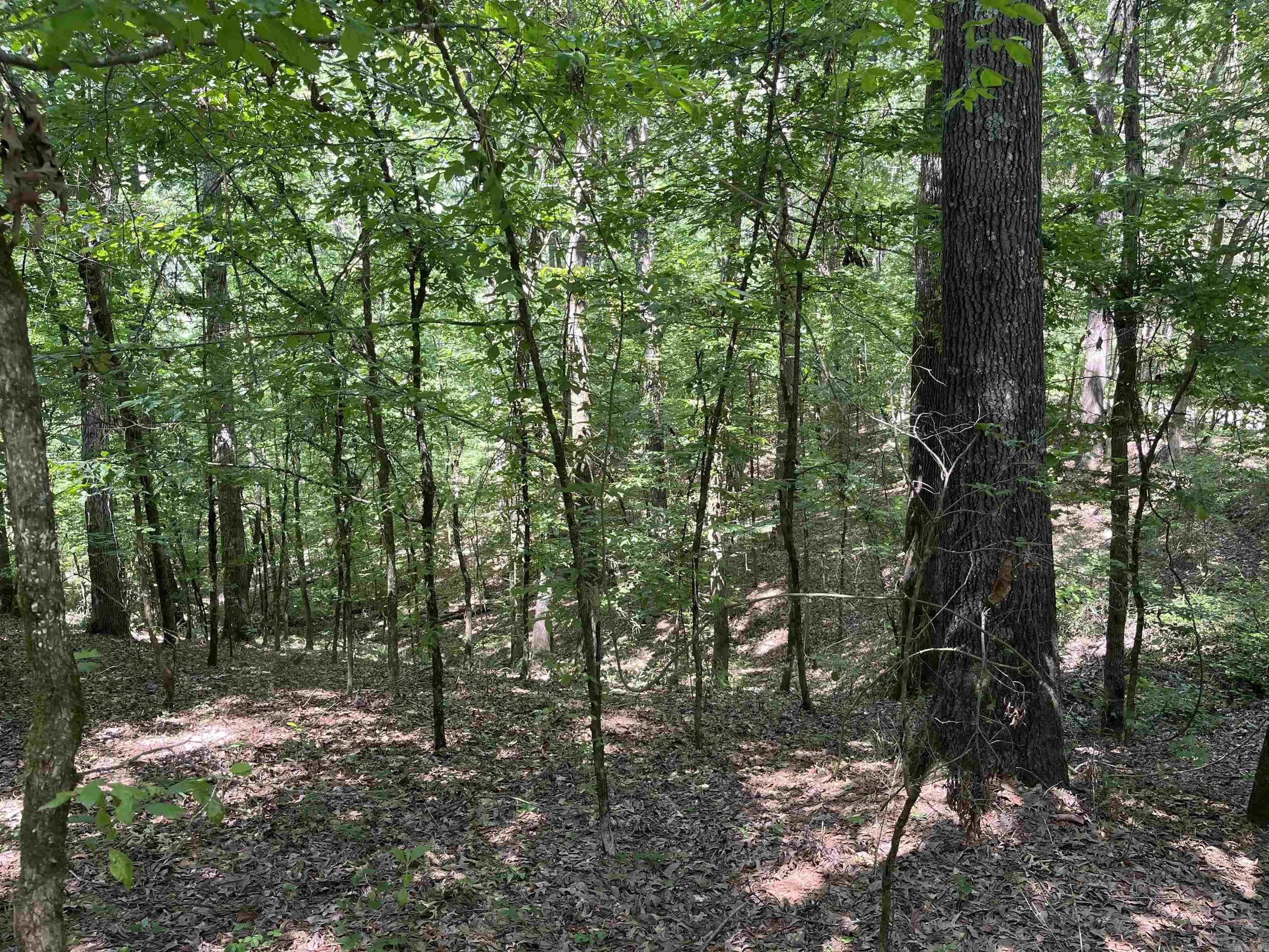   Mount Carmel  Dierks, AR
