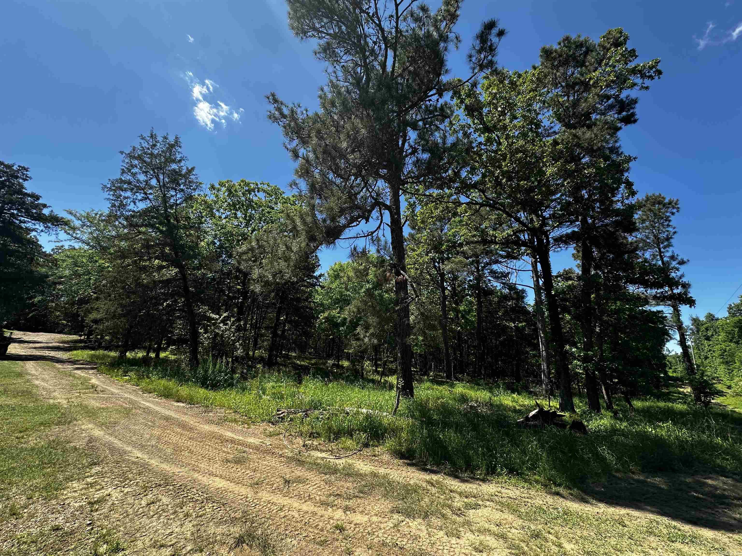 108  Defoor Lane  Gillham, AR