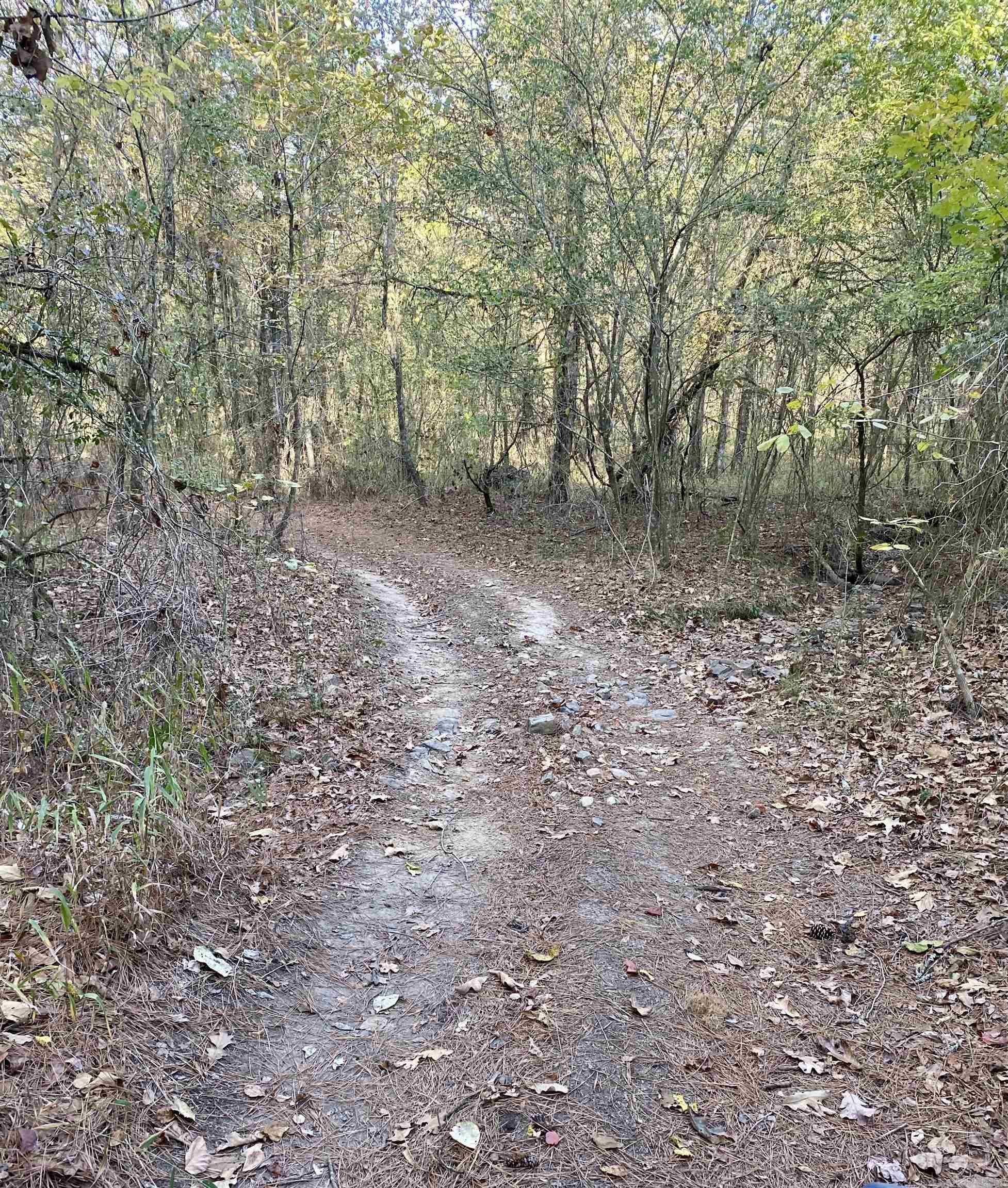 108  Defoor Lane  Gillham, AR