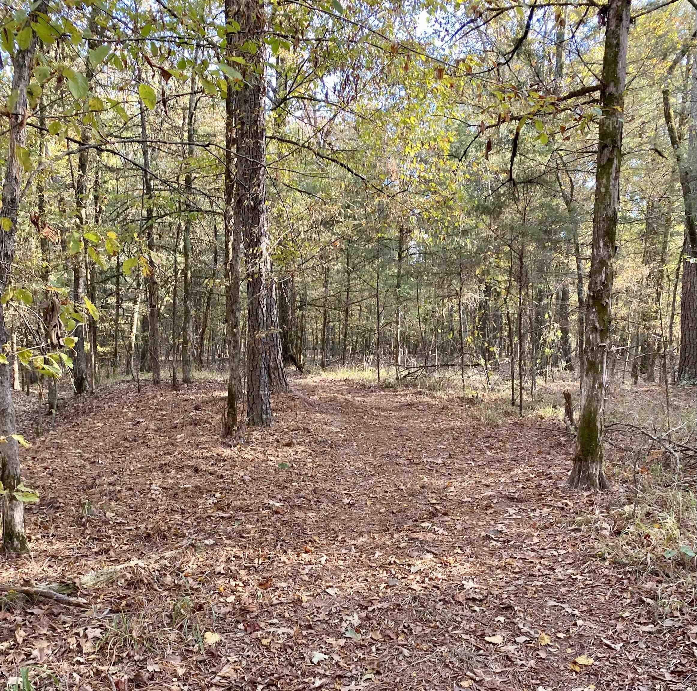 108  Defoor Lane  Gillham, AR