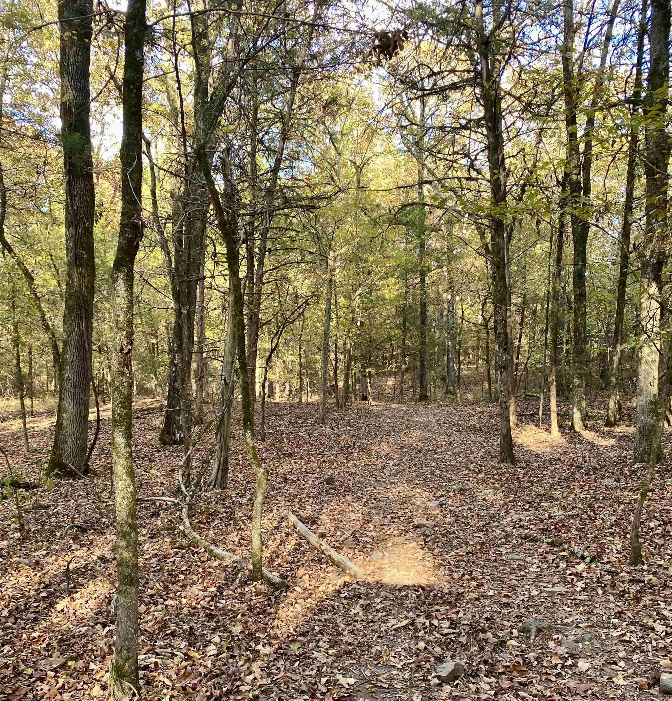 108  Defoor Lane  Gillham, AR