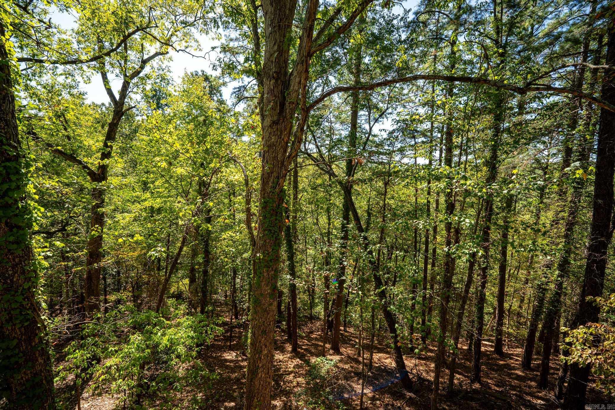4  Helena  Hot Springs Village, AR