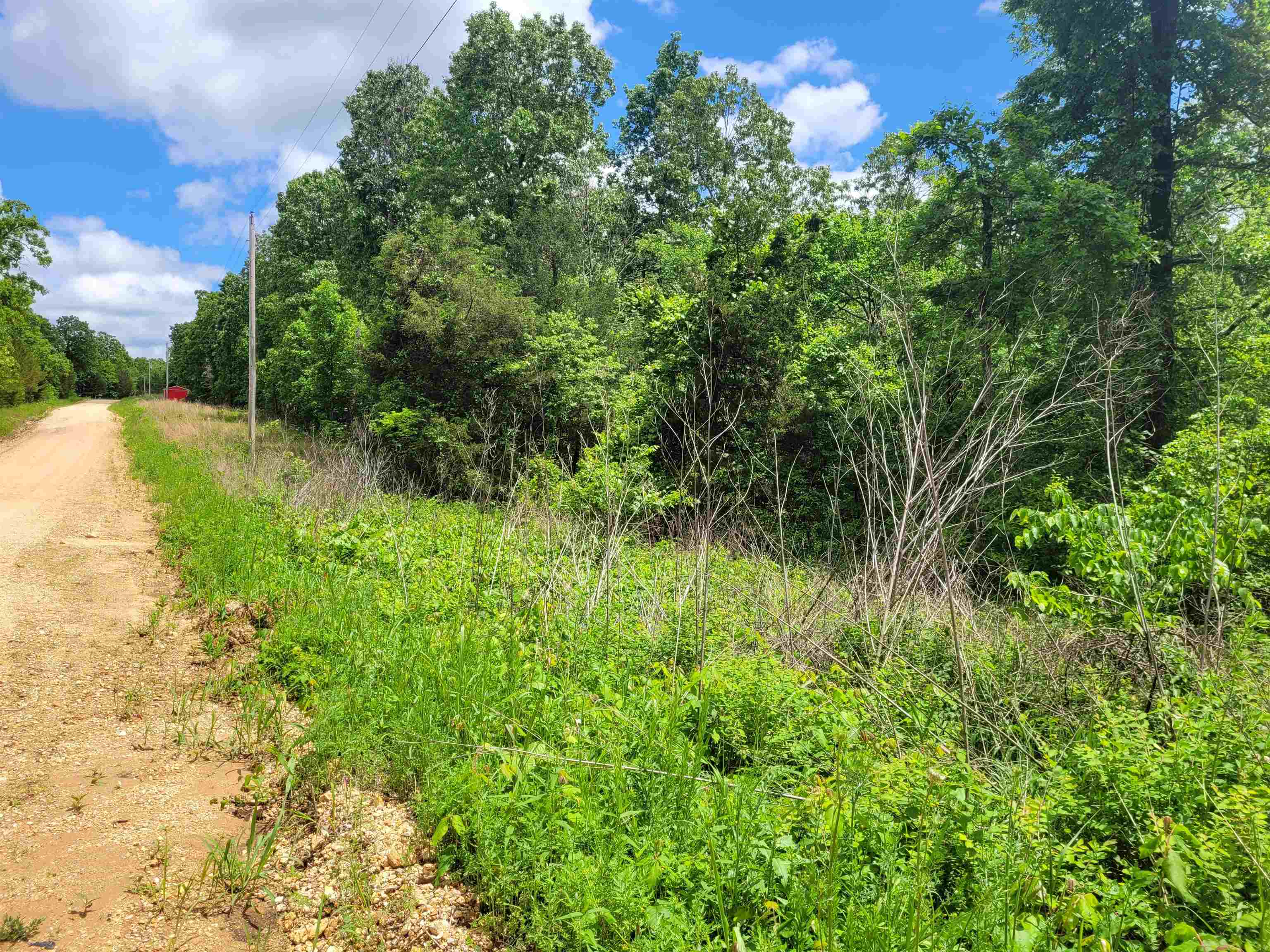 TBD  Young Road  Glencoe, AR