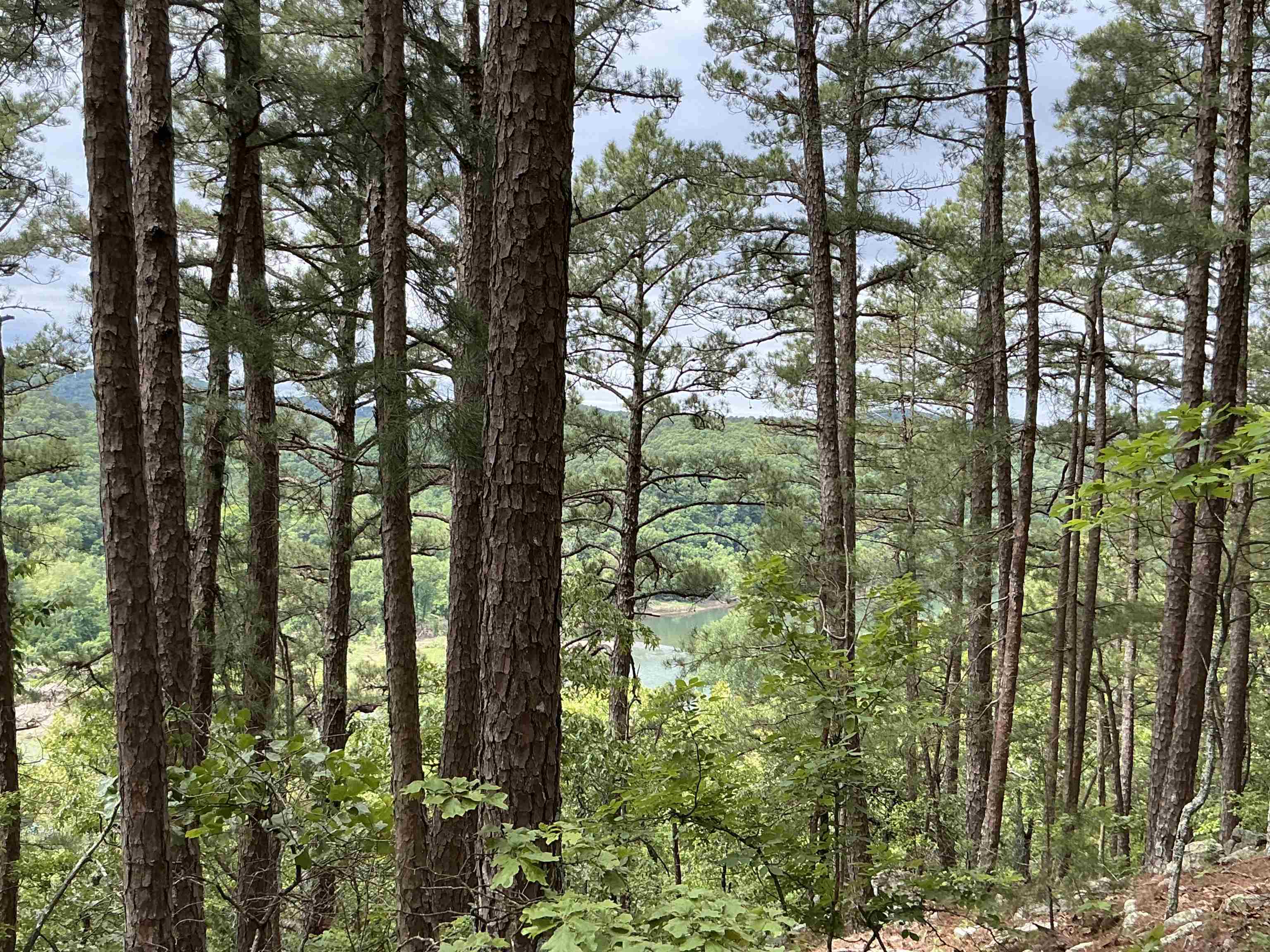 0  Woods Road  Melbourne, AR
