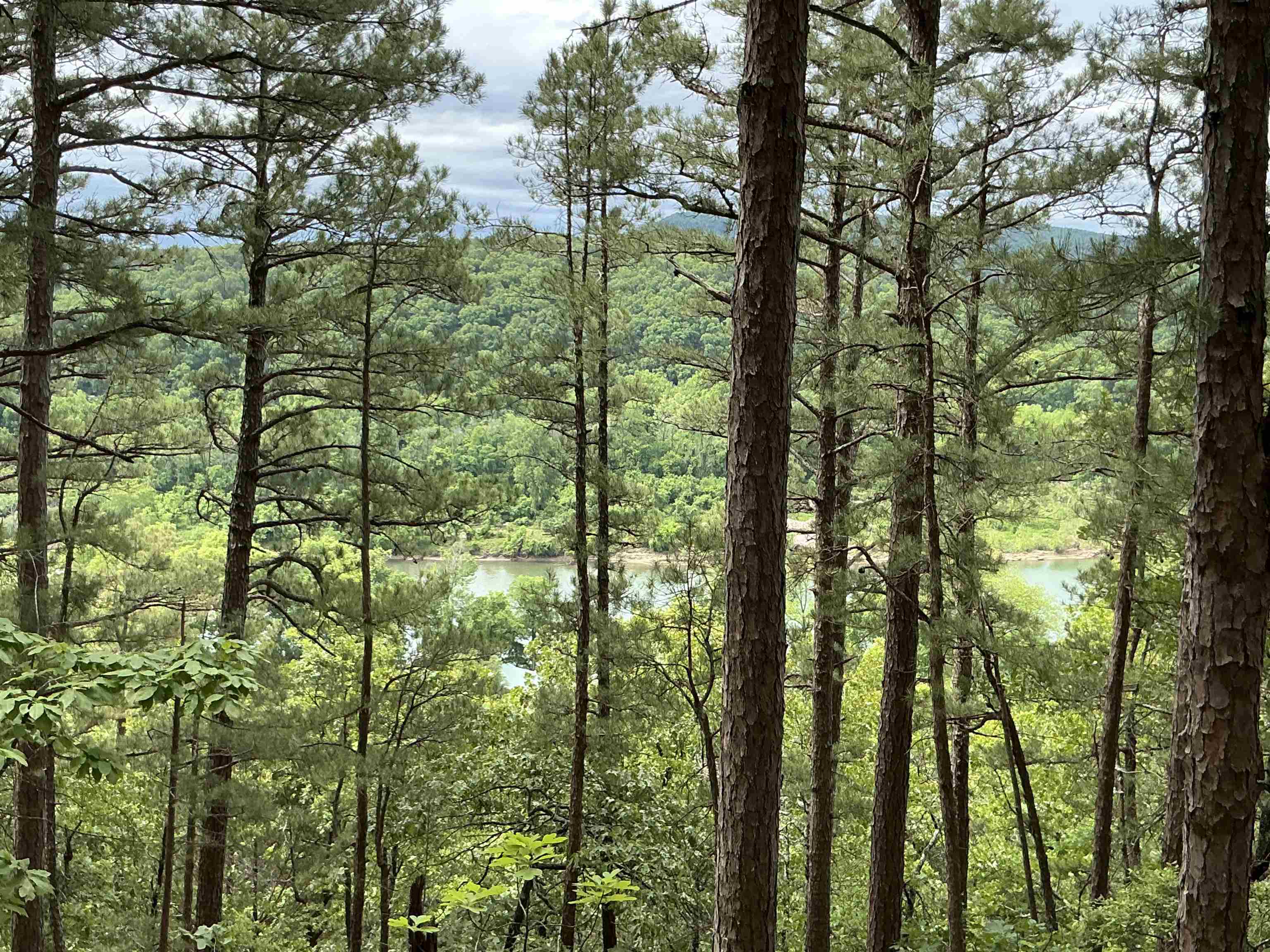 0  Woods Road  Melbourne, AR